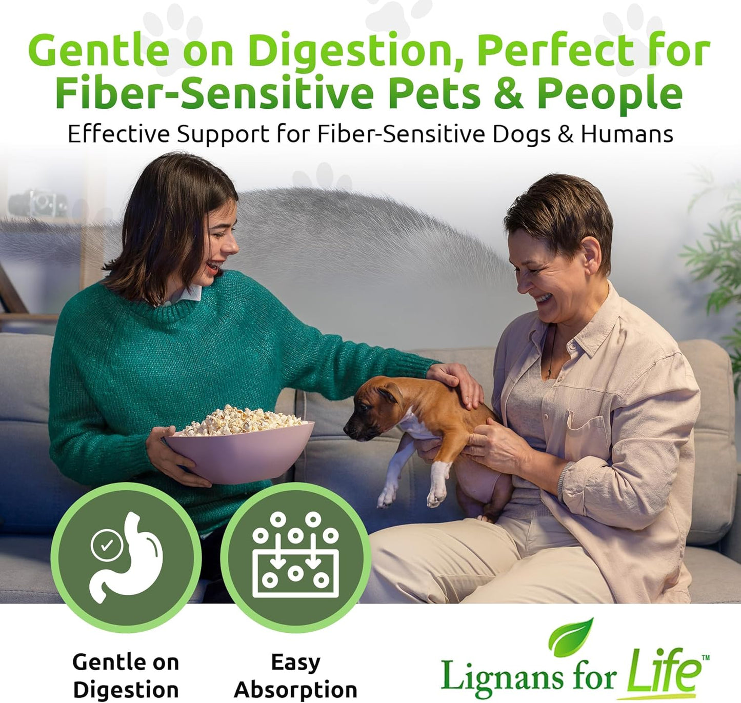 40mg Lignans for Dogs, 90 Capsules - Vitamin for Healthy Pet - Multivitamin Wellness Supplement - Pack of 2