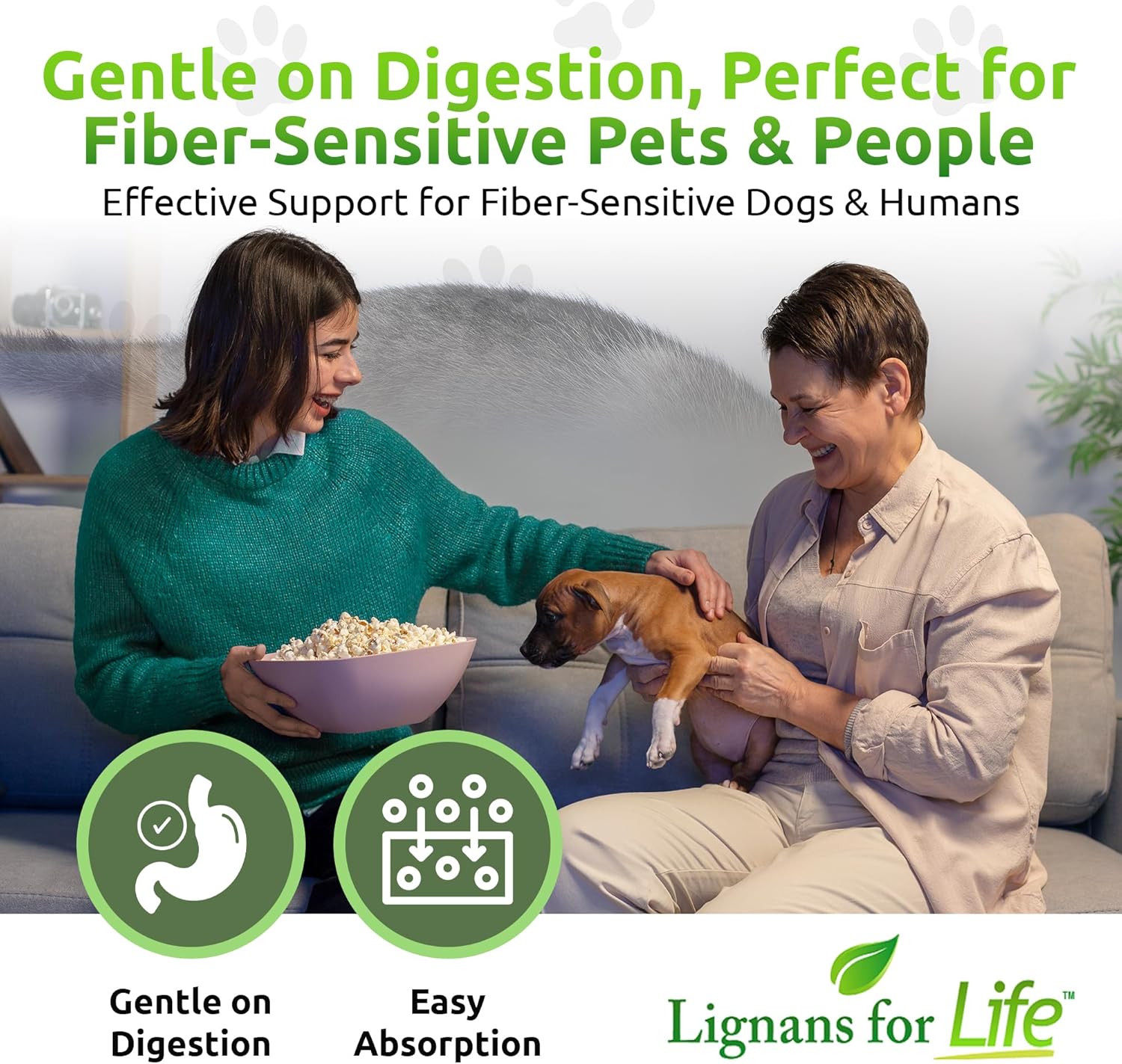 40mg Lignans for Dogs, 90 Capsules - Vitamin for Healthy Pet - Multivitamin Wellness Supplement - Pack of 2