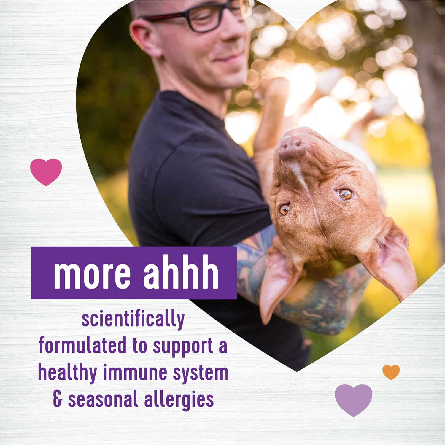 45 Count Salmon Flavored Soft Chew Immune and Allergy Supplements for Dog Wellness