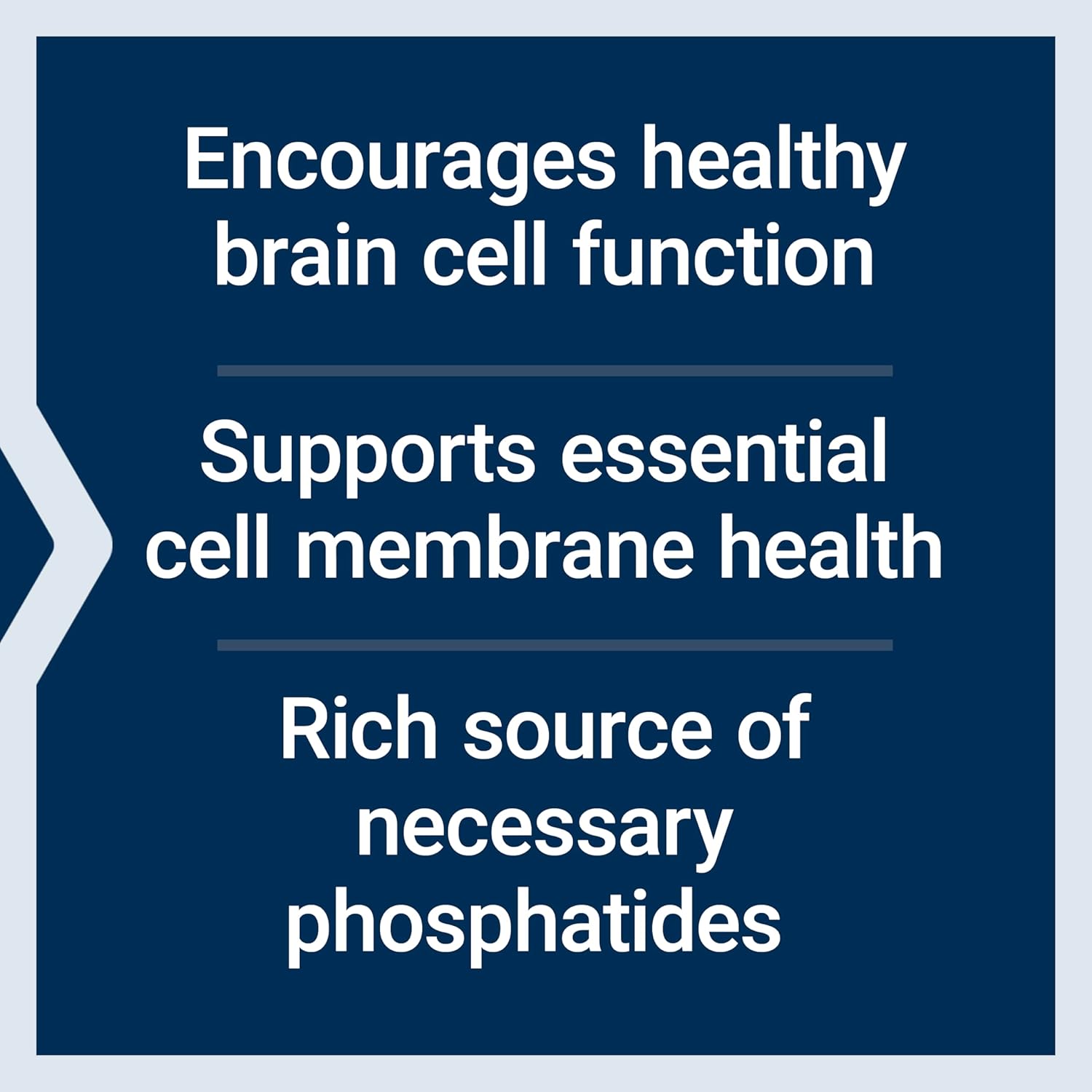 454g Life Extension Lecithin for Healthy Brain Cell Structure & Function, Gluten-Free, Non-GMO, Vegetarian