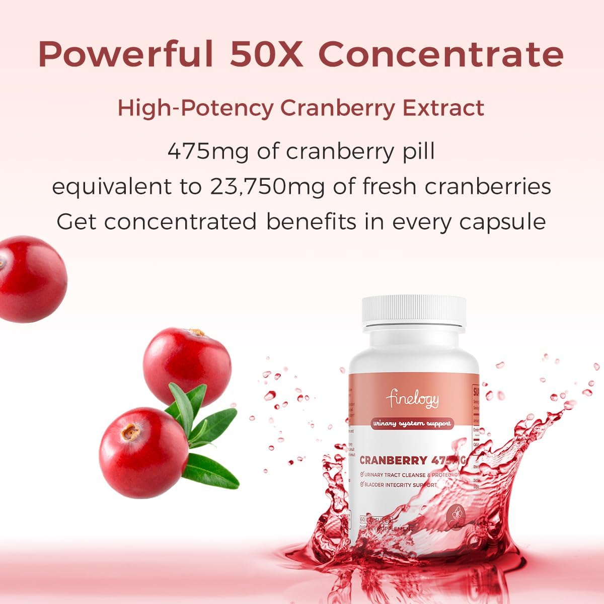 475mg Cranberry Pills - 60 Vegan Capsules for Urinary Tract & Bladder Health | Non-GMO Cranberry Supplement with Concentrated Powder - Sugar-Free (2-Month Supply)