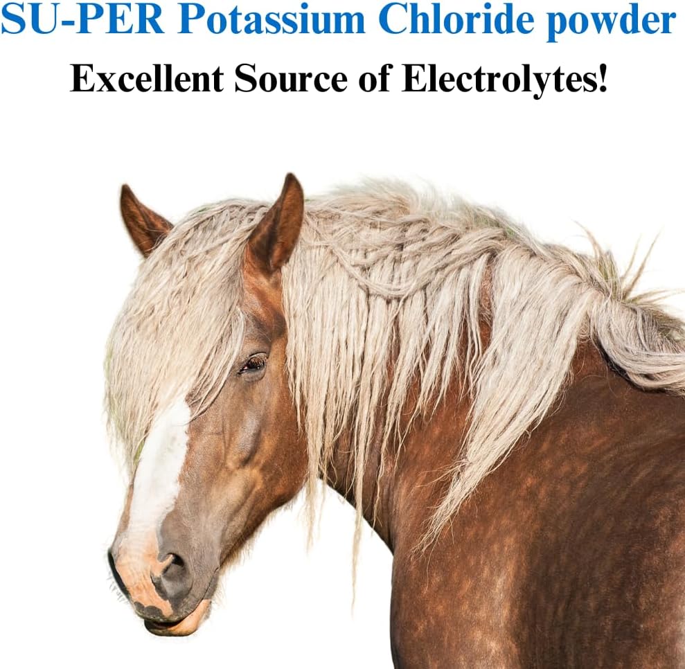 4lb (2 Pack) SU-PER Potassium Chloride Horse Electrolyte Supplement - Maintains Normal Electrolyte Balance