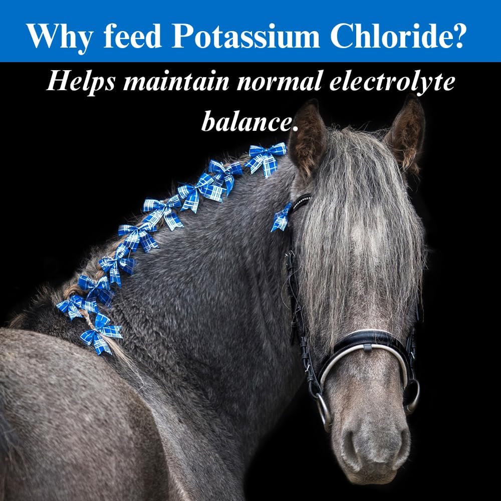4lb (2 Pack) SU-PER Potassium Chloride Horse Electrolyte Supplement - Maintains Normal Electrolyte Balance