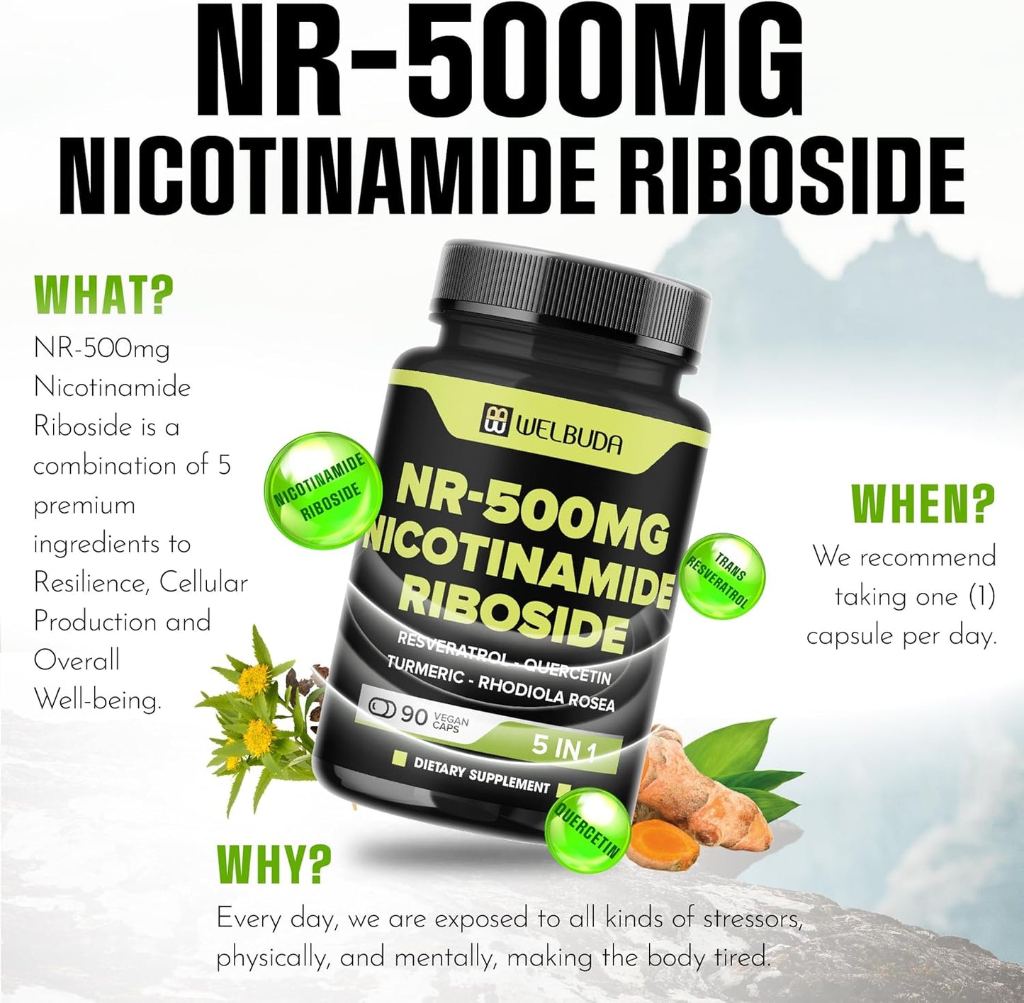 5-in-1 NAD+ Nicotinamide Riboside Supplement with Resveratrol, Quercetin, Turmeric, Rhodiola Rosea - Vitality & Aging Support - 90 Capsules