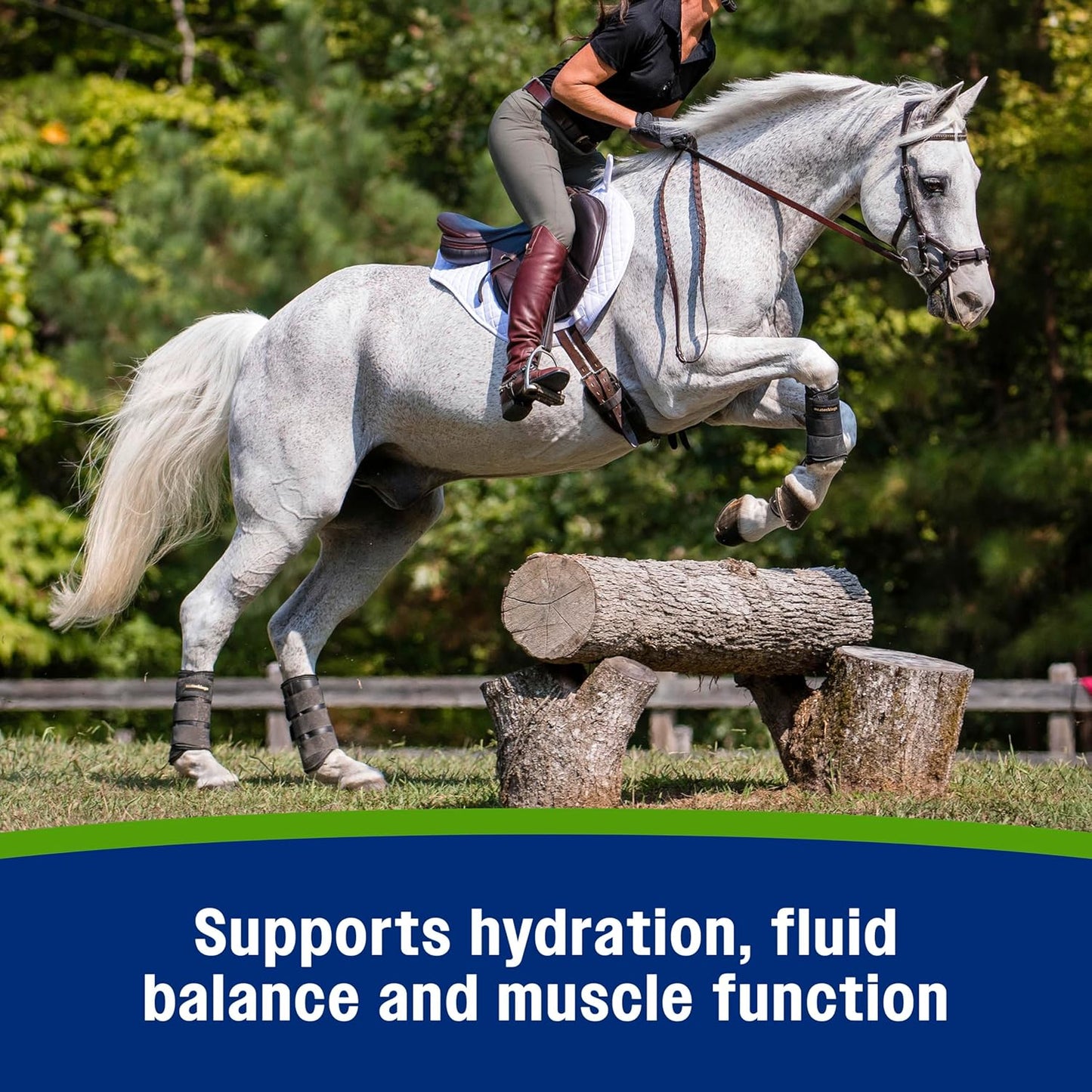 5 lb. Farnam Apple Elite Horse Electrolyte Powder for Replacing Minerals Lost During Exercise, Extreme Weather, and Stressful Conditions - 40 Day Supply