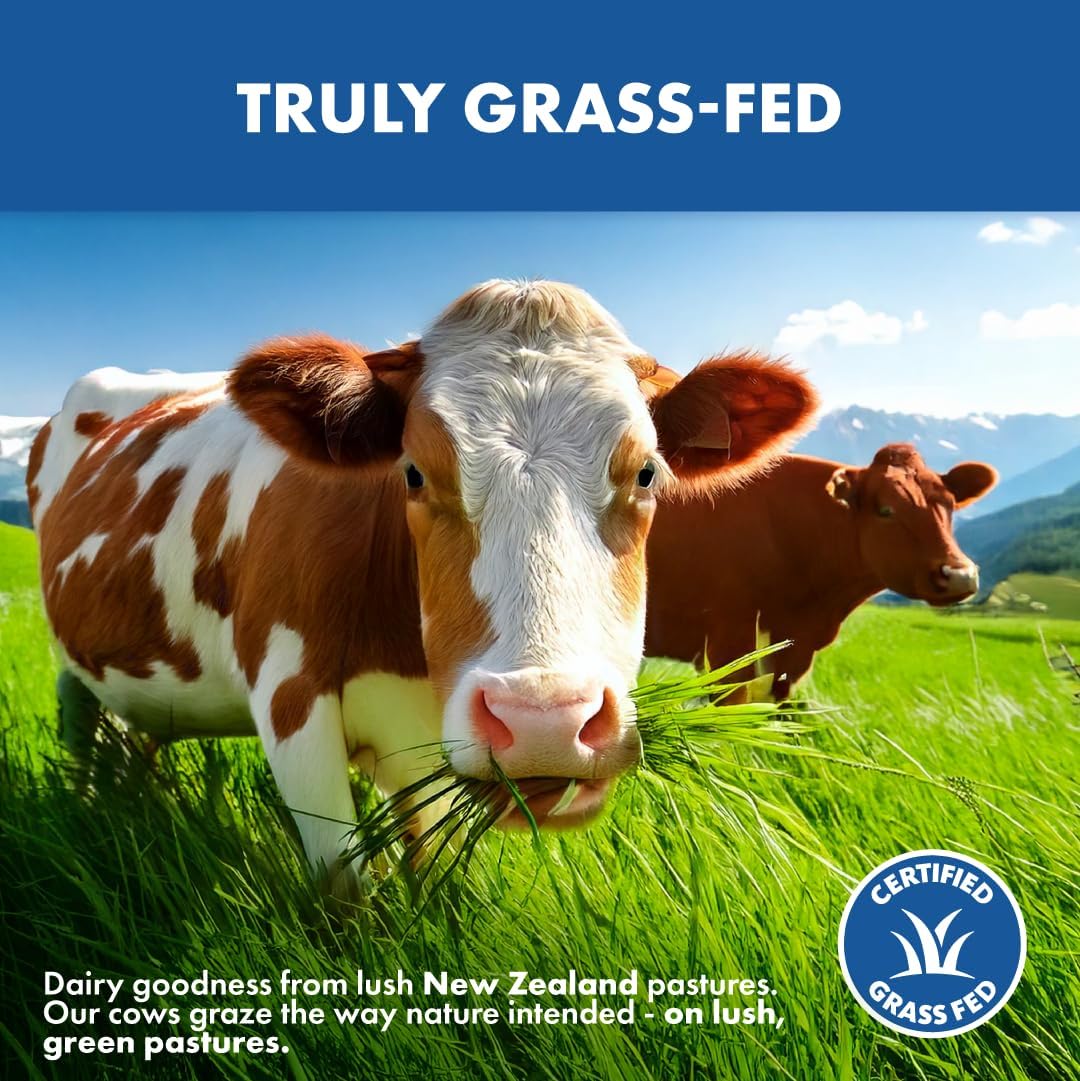 5 lb Grass Fed Whey Protein Powder Concentrate - Unflavored & Unsweetened - Pure Protein Supplement - Non GMO, Hormone Free & Gluten Free