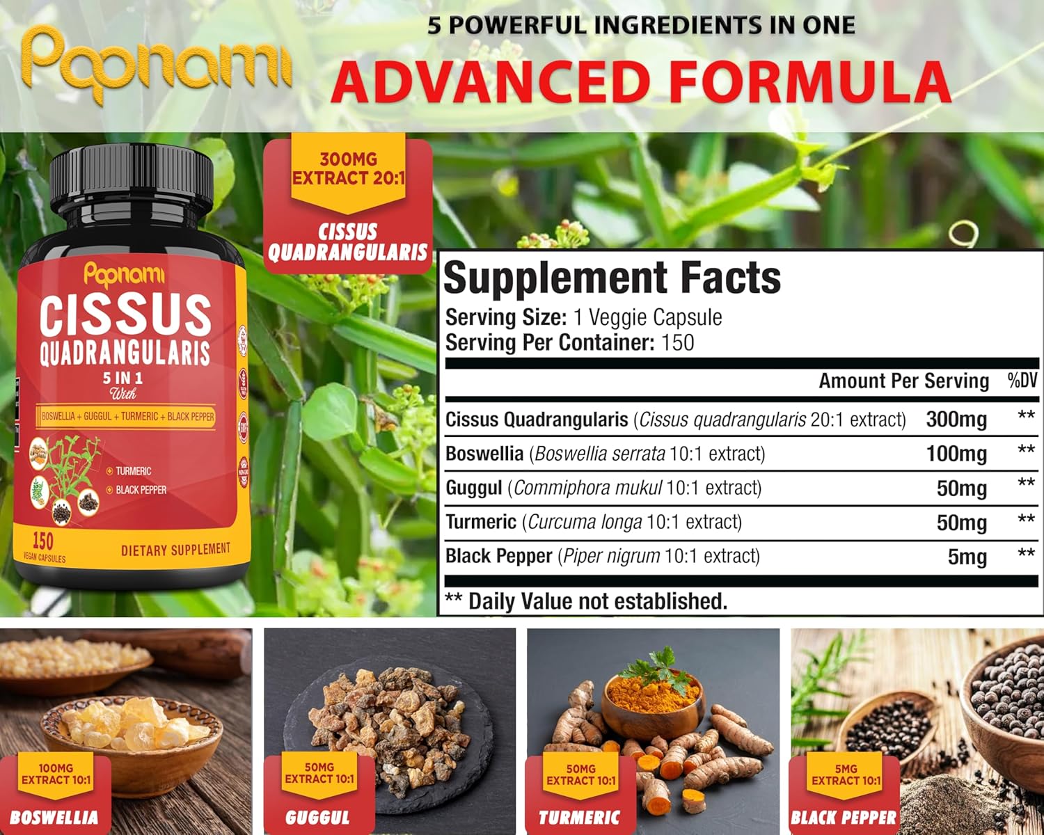 5 Month Supply Papnami Premium Cissus Quadrangularis Capsules with Boswellia, Guggul, Turmeric, Black Pepper Extract for Bone, Joint, Strength, Immunity & Wellness