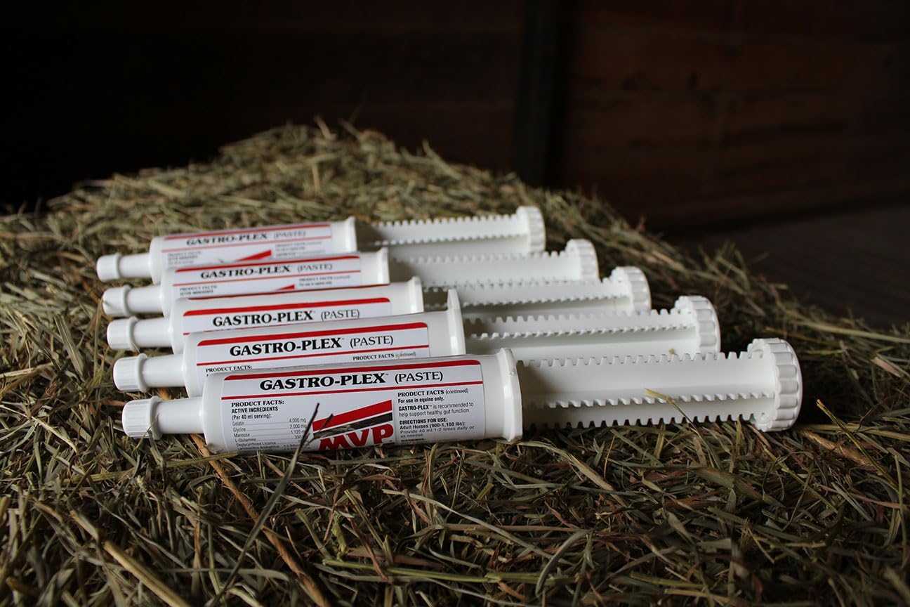 5-Pack MVP Gastro-Plex Paste: 10 Doses Gastric Stress Relief for Horses