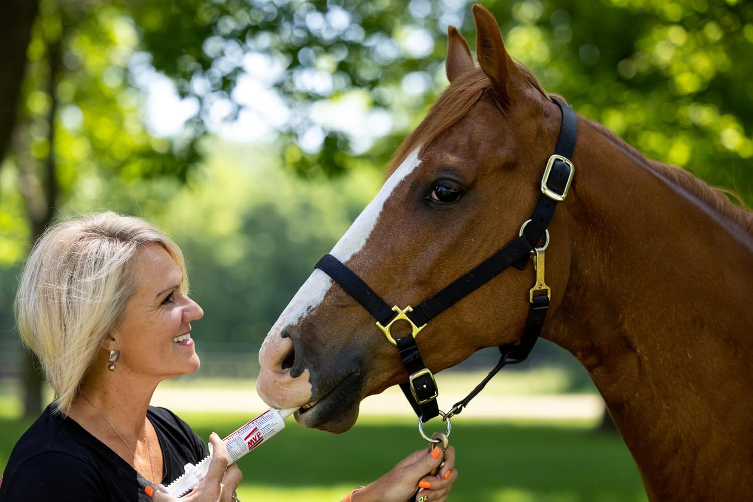 5-Pack MVP Gastro-Plex Paste: 10 Doses Gastric Stress Relief for Horses