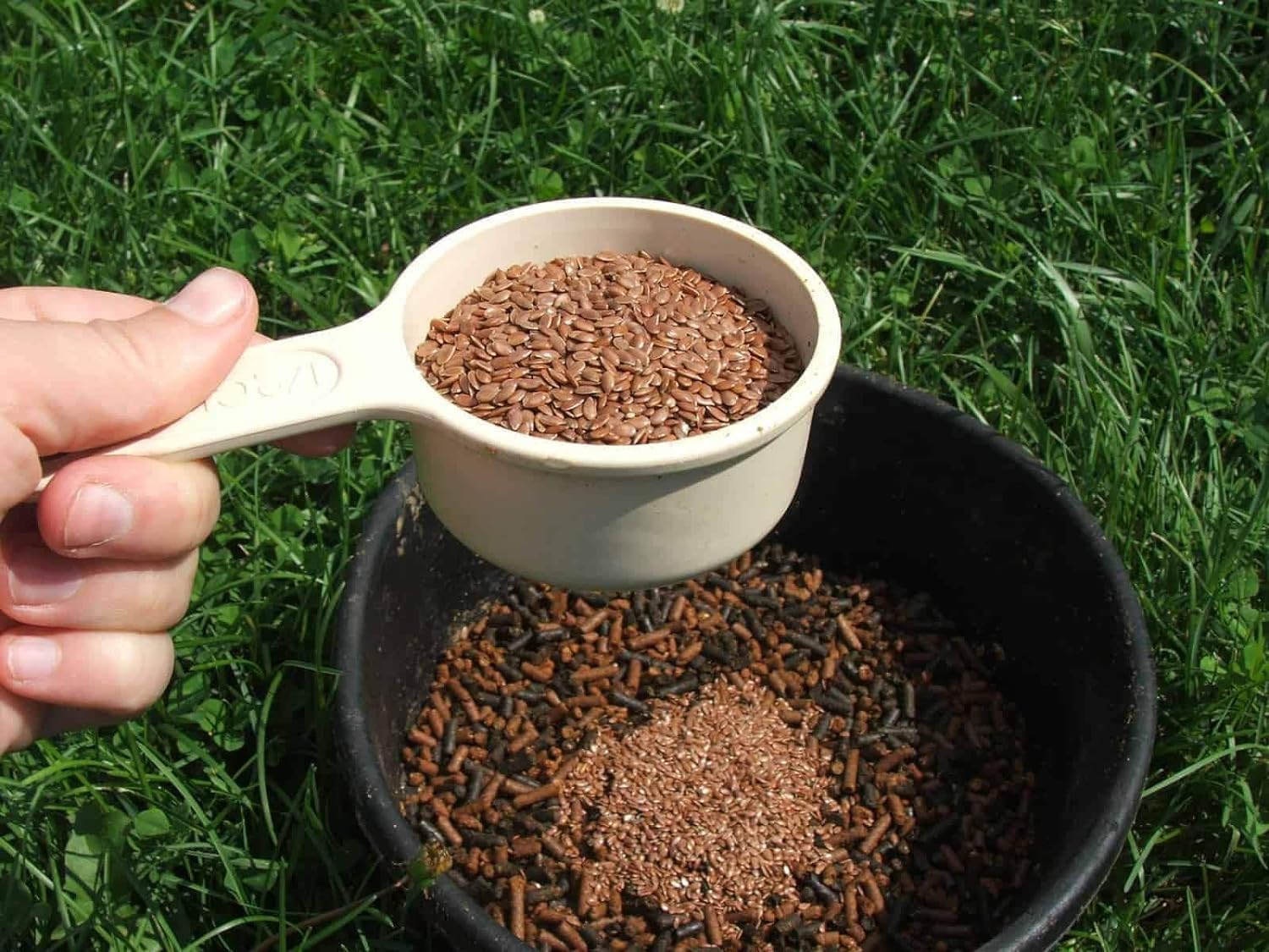 50 Pounds CountryMax Bulk Whole Flax Seed Omega-3 Fatty Acid Supplement for Equines