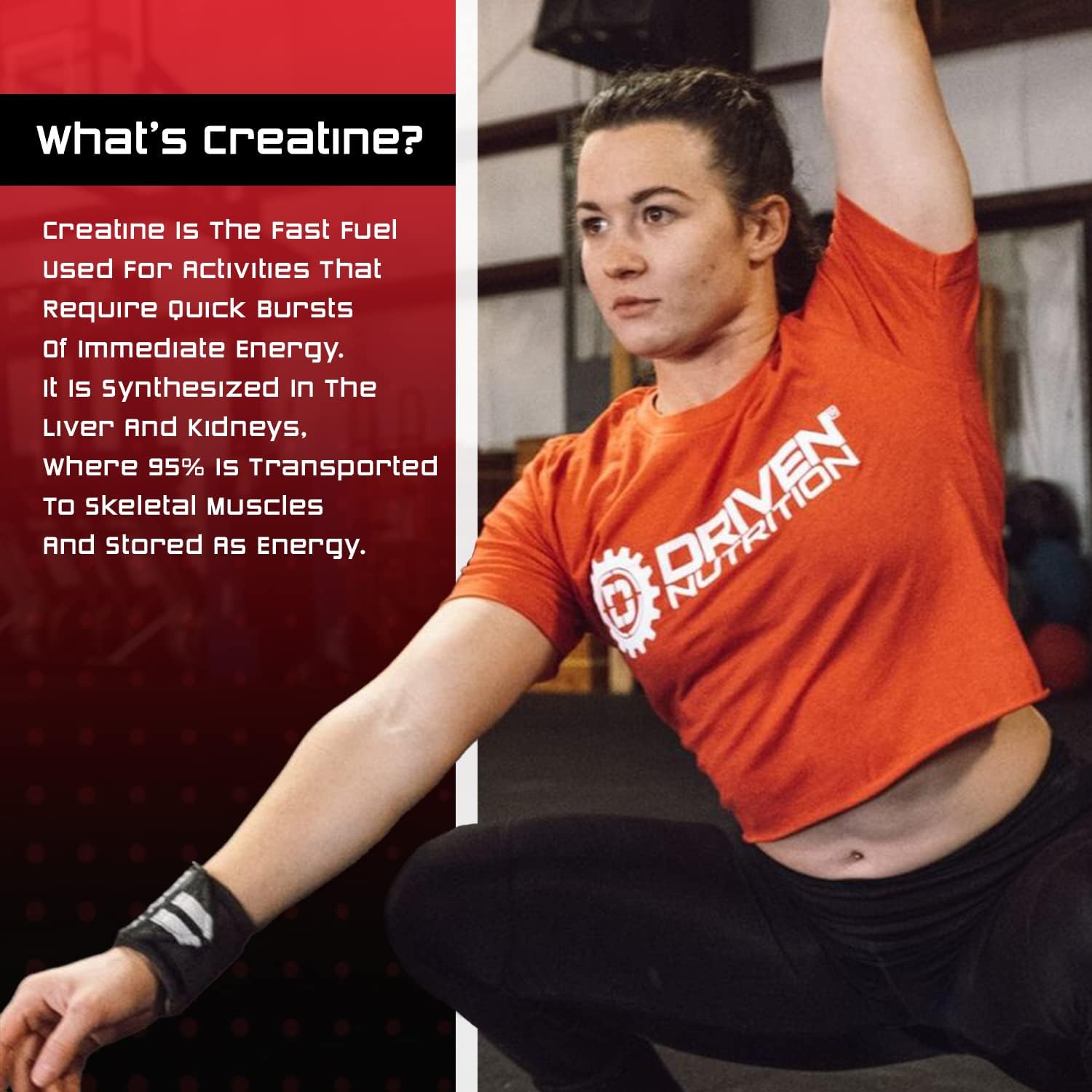 500g Driven Nutrition Creatine Powder - Unflavored Micronized Formula for Physical Performance & Cognition - 5g Per Serving to Boost Strength, Endurance, & Muscle Mass
