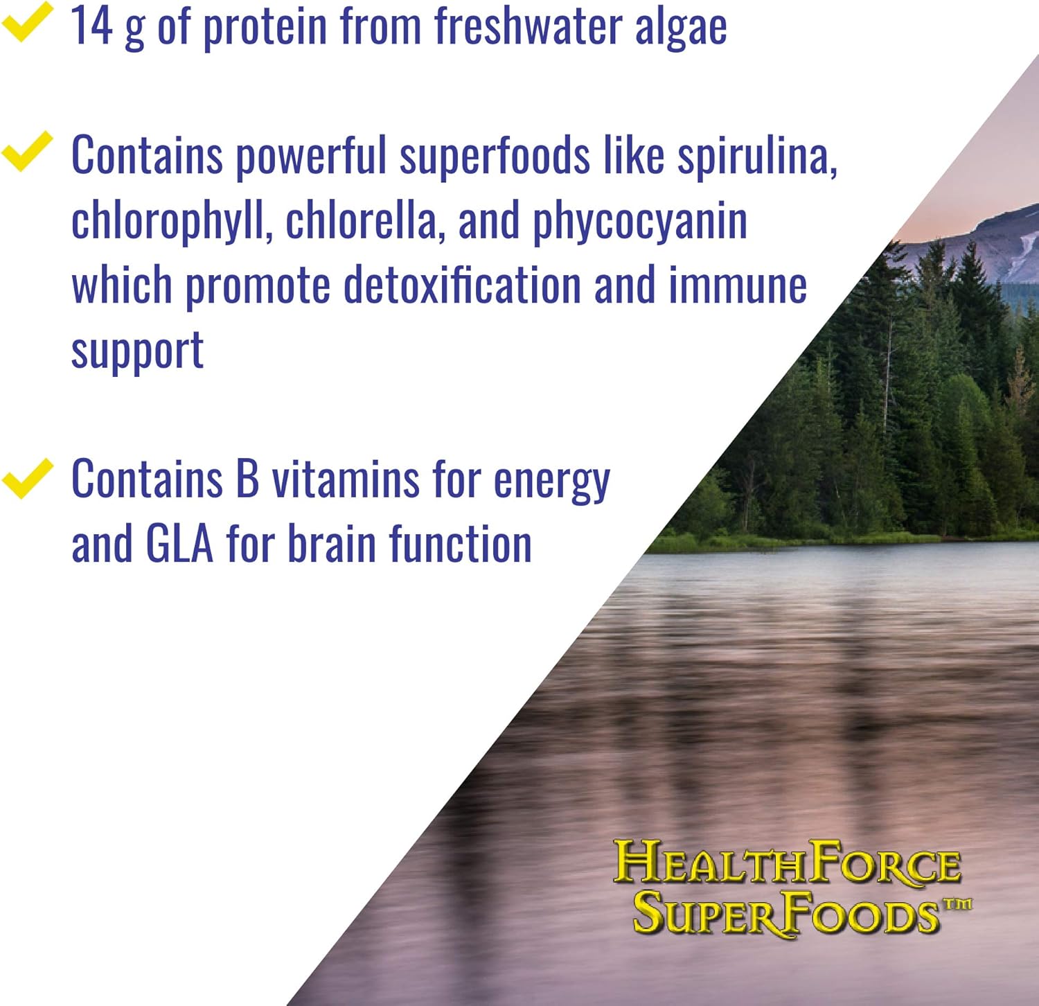 500g HealthForce Superfoods Green Protein Alchemy Powder - Organic Superfood Blend for Health