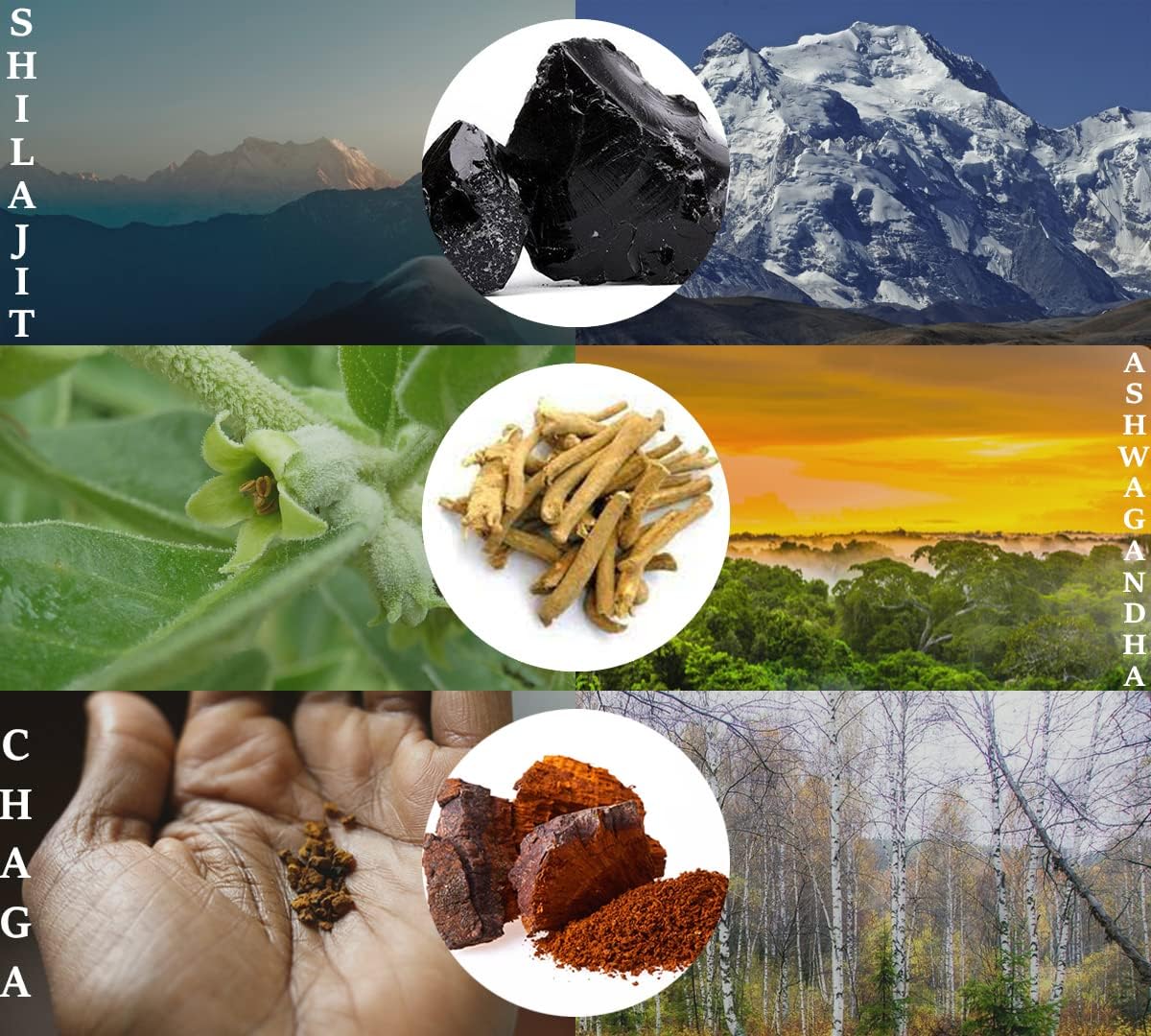 500mg Black Cherry Flavored Shilajit Gummies with Chaga, Ashwagandha, B12, D2 Vitamins - Vegan Ayurvedic Supplement with Humic Fulvic Acid & Trace Minerals from Himalaya
