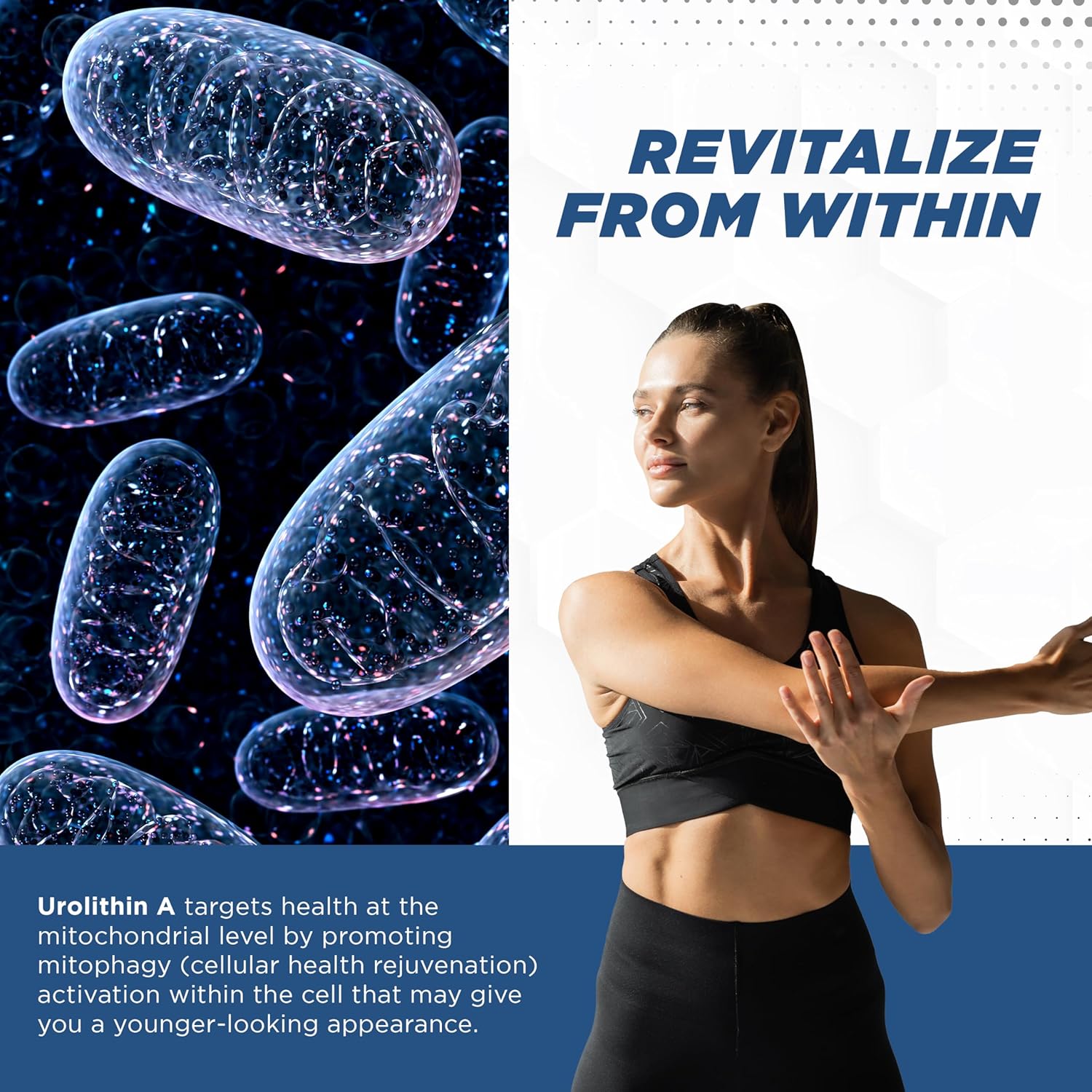 500mg Pure Urolithin A Supplement for Men & Women - Natural ProMito Urolithin A Capsules - Alternative to NMN, NAD, CoQ10 - 28 Capsules