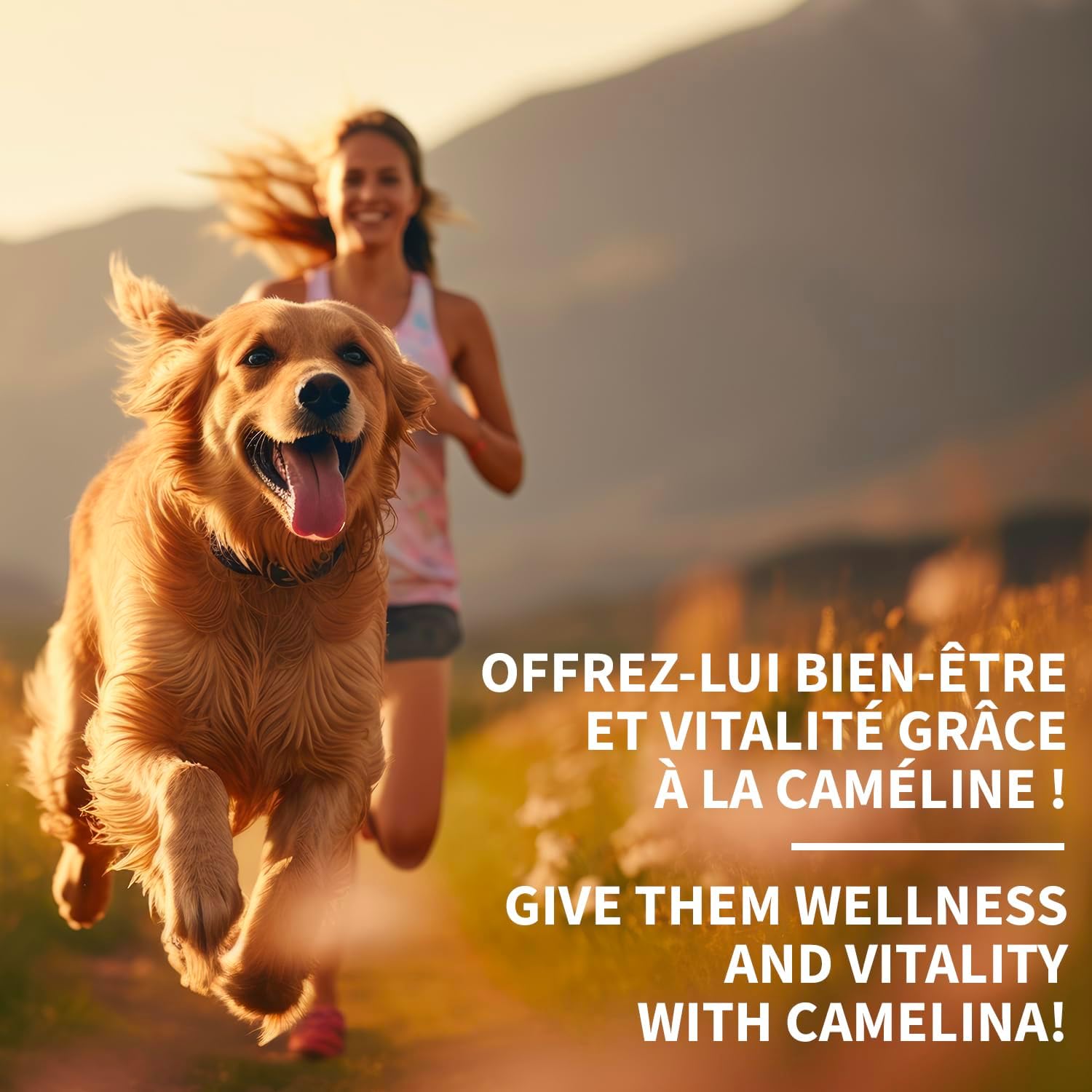 500mL Signé Caméline Camelina Oil for Pets by Olimega Farm | Rich in Omega-3 & Vitamin E | Promotes Joint, Coat & Skin Health | Canadian-Made Alternative to Salmon Oil | Non-GMO