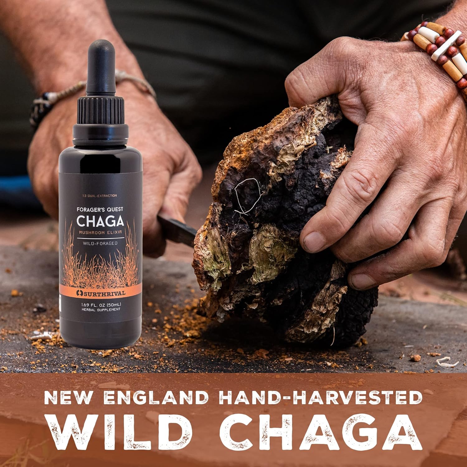 50mL SurThrival Chaga Mushroom Extract: Forager's Immune-Boosting Anti-Viral & Anti-Fungal Medicinal Supplement