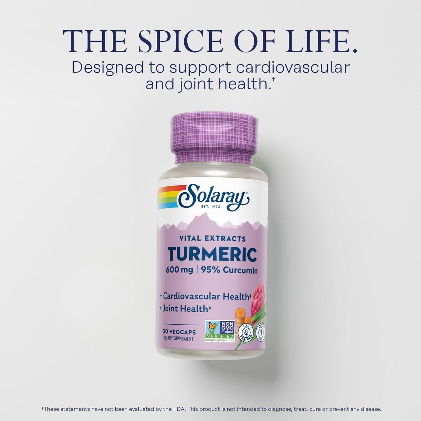 570 mg Turmeric Root Extract Capsules with 95% Curcumin for Heart and Joint Health - Lab Verified - 60 VegCaps (30-Day Supply)