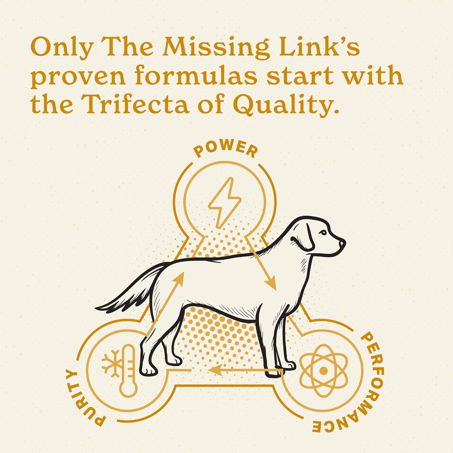 5lb Bag Missing Link Skin & Coat + Probiotics Supplement - Superfood Powder for Dogs, Supports Healthy Skin, Glossy Coat & Hair Growth