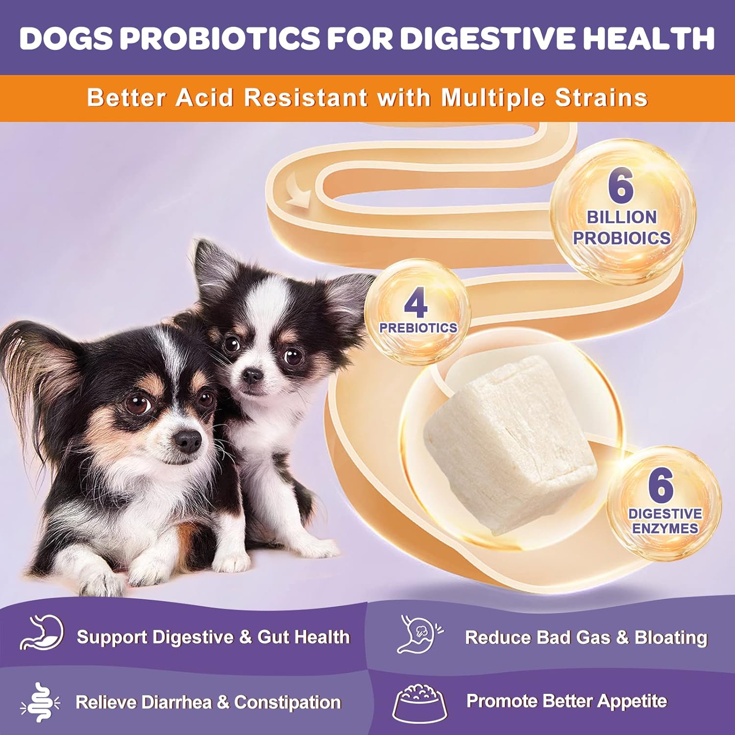 6 Billion CFUs Freeze Dried Dog Probiotics with Prebiotics, Digestive Enzymes, Vitamins, Omega 3 for Gut, Skin, & Immune Health, Itch Relief, Reduce Diarrhea & Gas