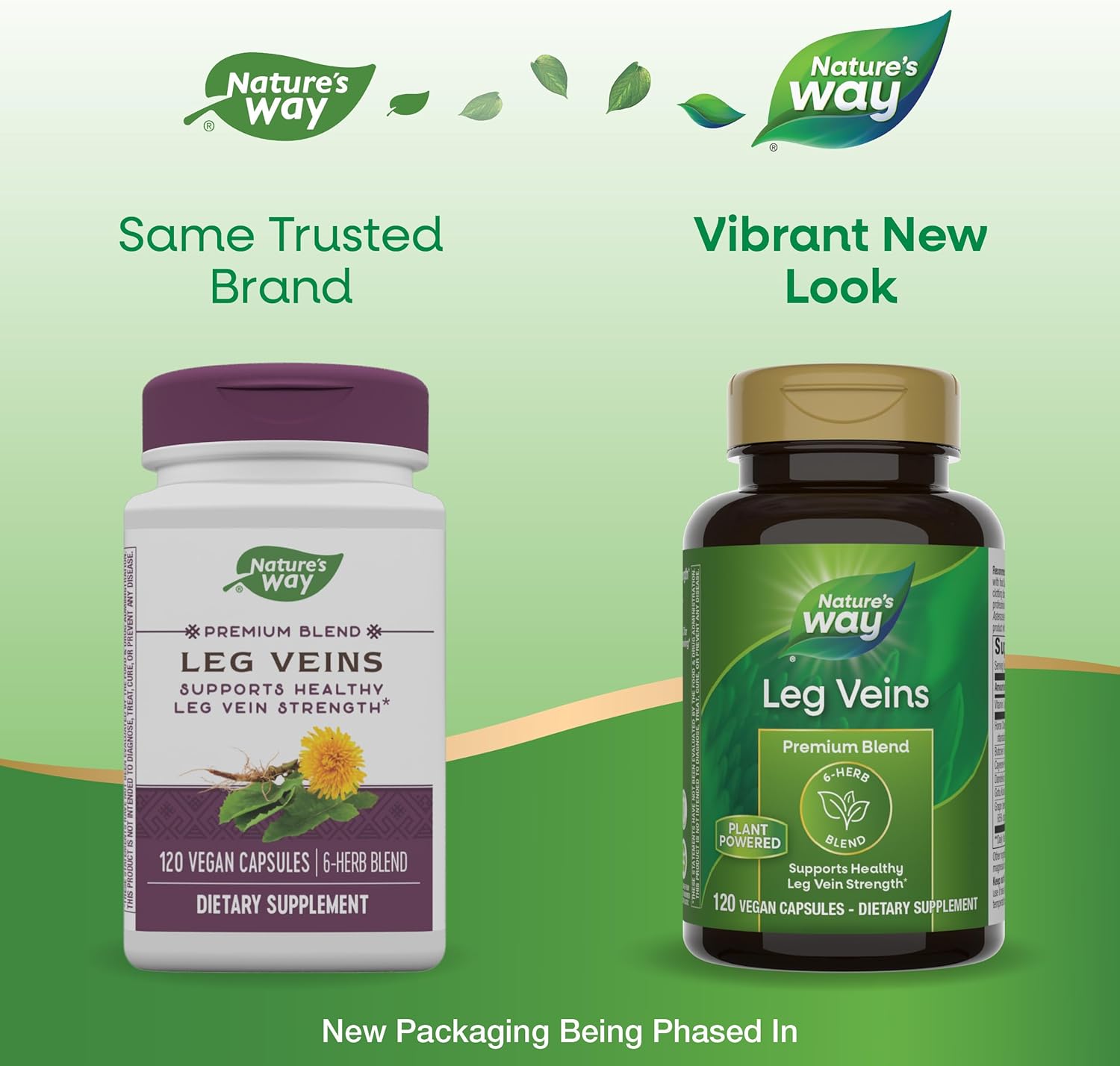 6-Herb Blend Leg Vein Support with Horse Chestnut & Dandelion - 120 Vegan Capsules