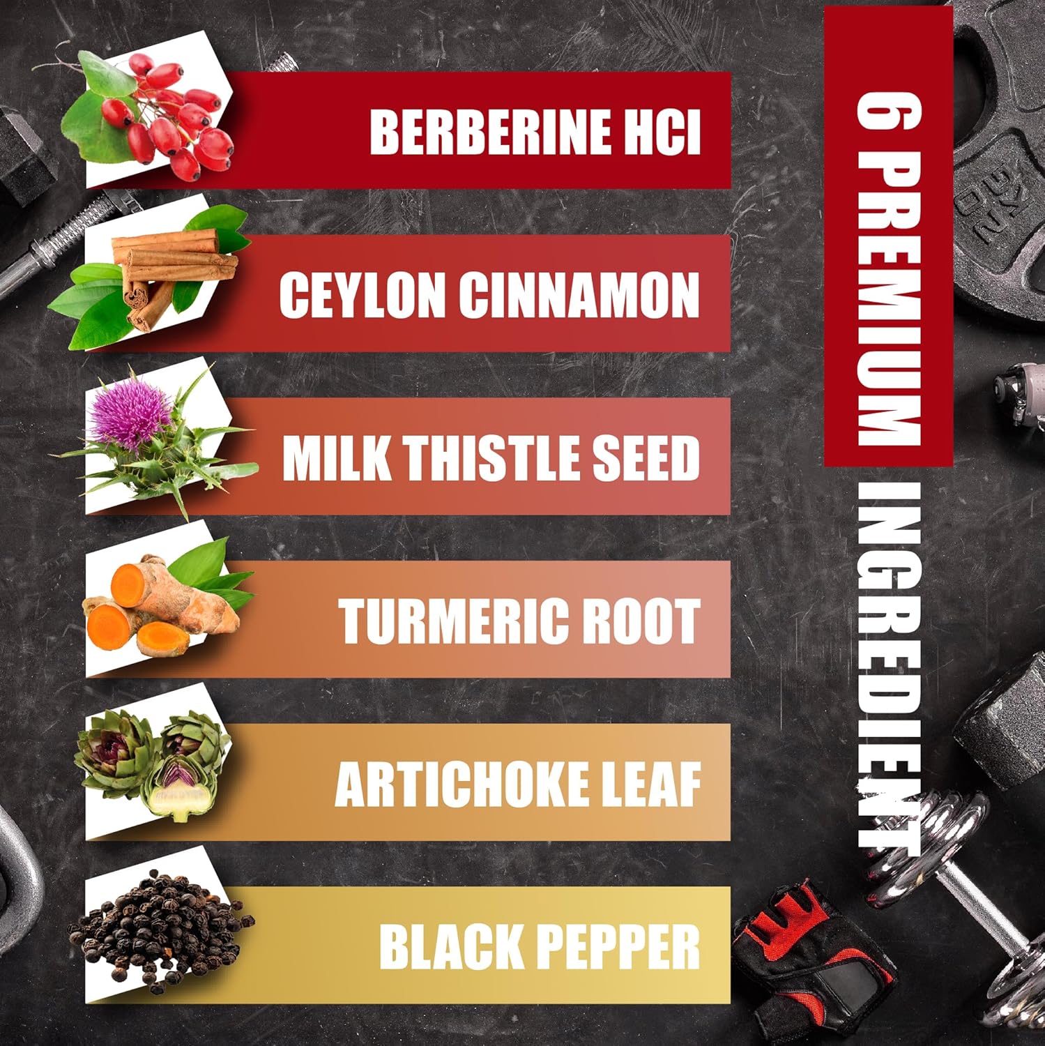 6-in-1 Berberine Supplement with Ceylon Cinnamon, Turmeric, Milk Thistle, Artichoke, Black Pepper - 120 Capsules