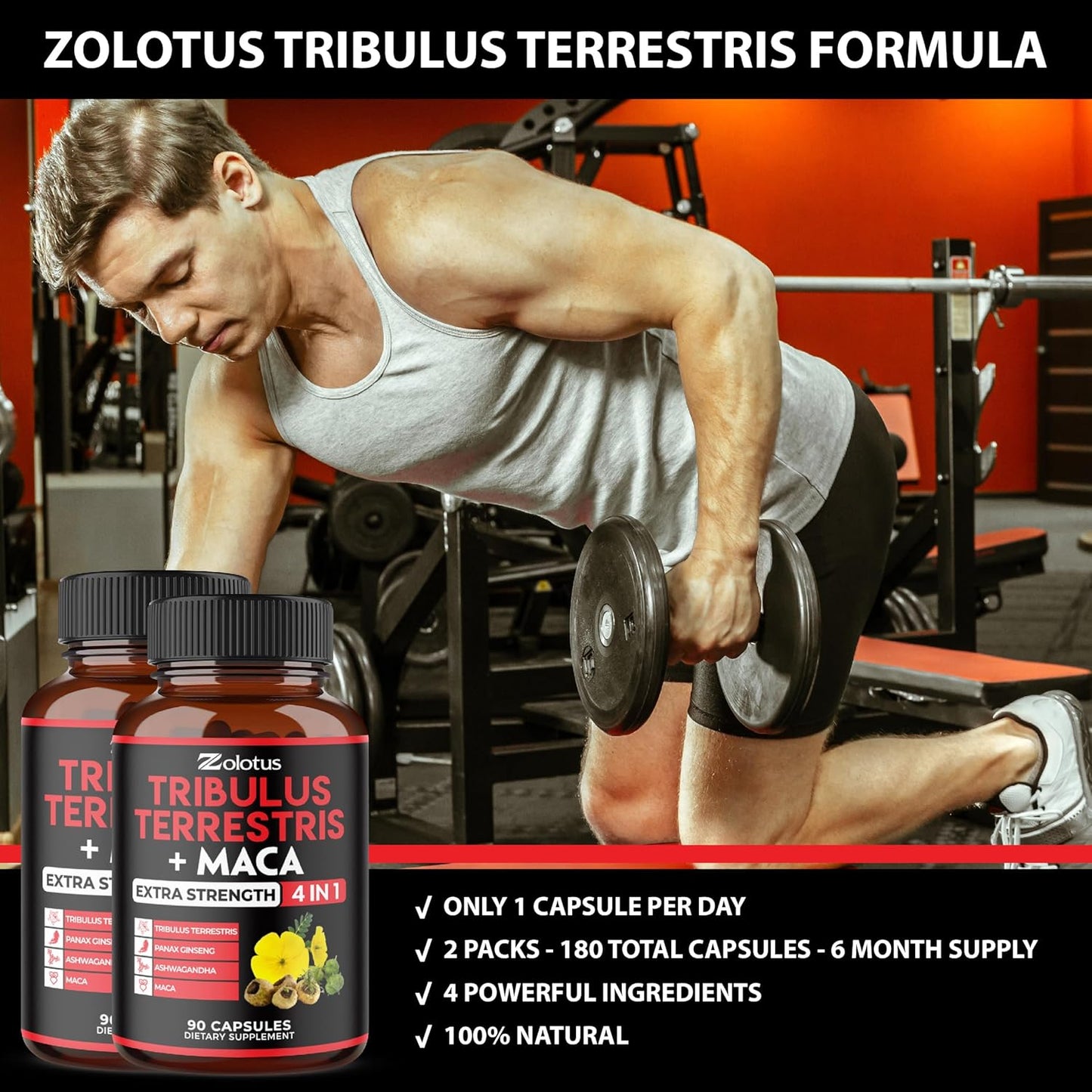 6-Month Supply of Zolotus Tribulus Terrestris, Maca Root, Ashwagandha, Panax Ginseng - 2 Pack