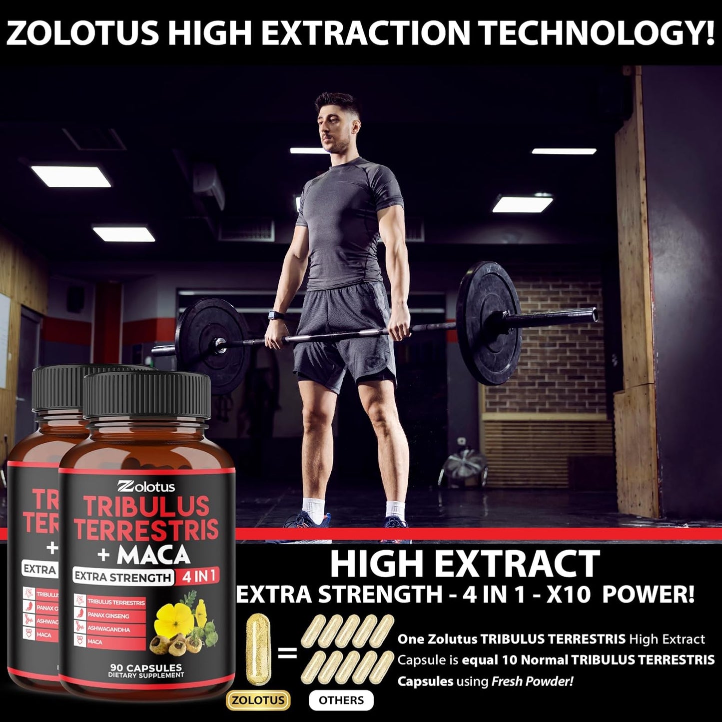 6-Month Supply of Zolotus Tribulus Terrestris, Maca Root, Ashwagandha, Panax Ginseng - 2 Pack