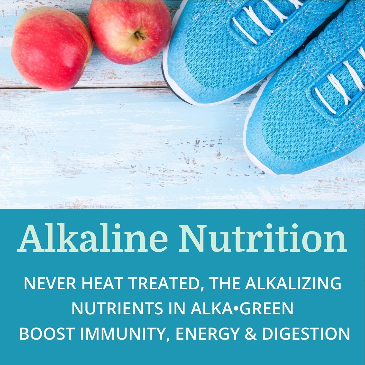 6 Pack Morter HealthSystem Alka•Green Tablets - Best Process Alkaline Barley Grass Supplement - Organic Nutrient Dense Source of Enzymes & Amino Acids