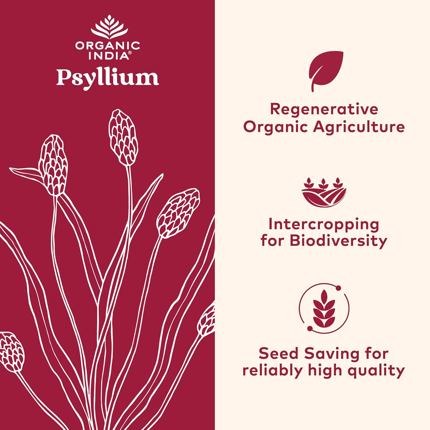 6 Pack of ORGANIC INDIA Whole Psyllium Husk Powder - Digestion Support, Vegan Fiber Supplement - 12 oz Canister, Non-GMO & Gluten-Free