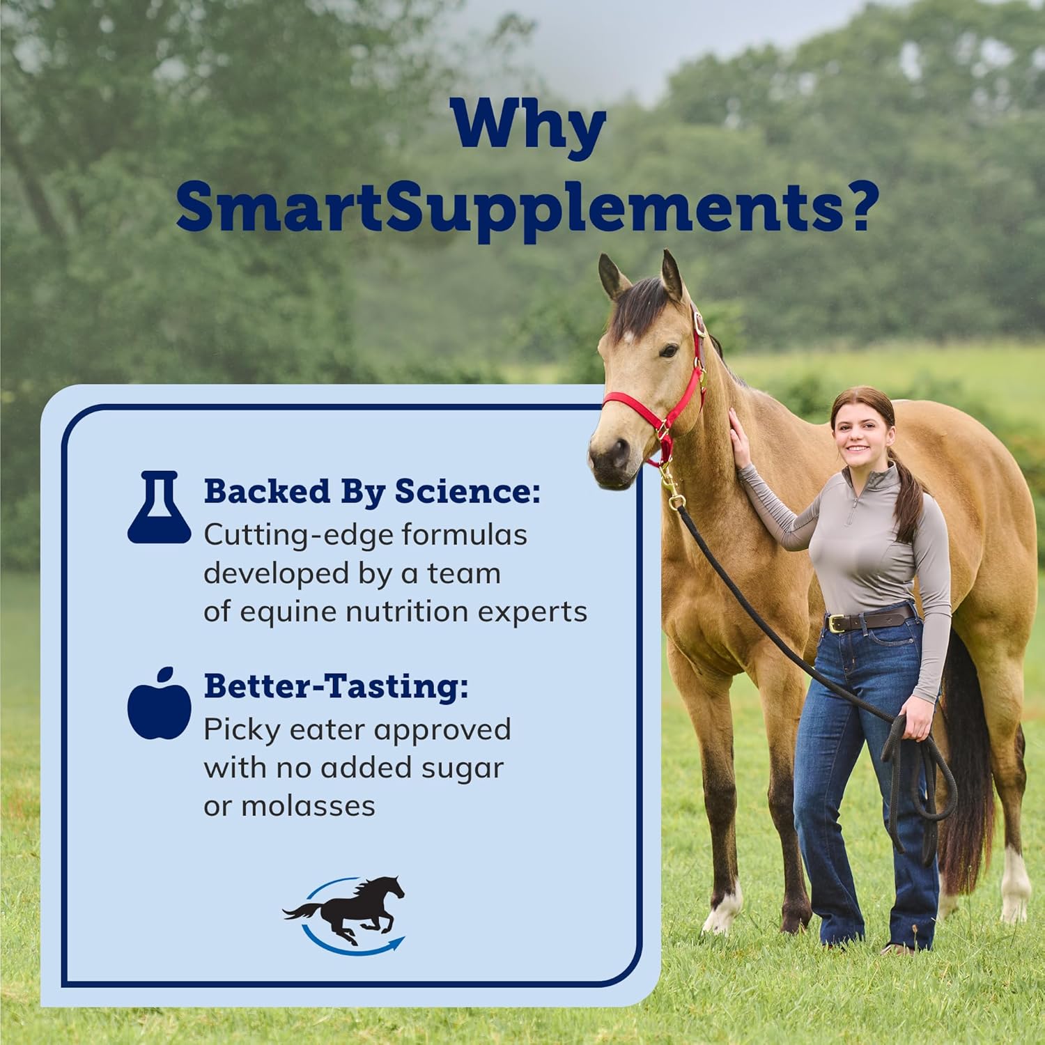 6 Pack of SMARTPAK SmartCalm Ultra Paste - Horse Calming Supplement without Herbs or Sugar for Skittish Horses