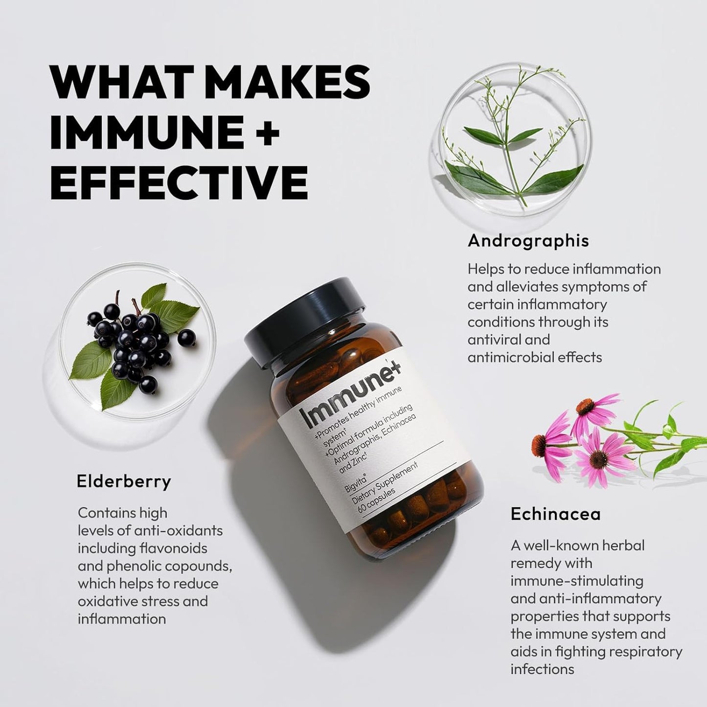 60 Capsules BigVita Immune Support Booster Supplement with Elderberry, Echinacea, Vitamin C, Andrographis, Zinc, Magnesium Oxide, and Selenium for Immune Defense