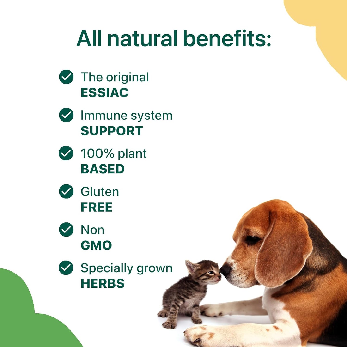 60 Capsules of Essiac International Herbal Supplement for Pets