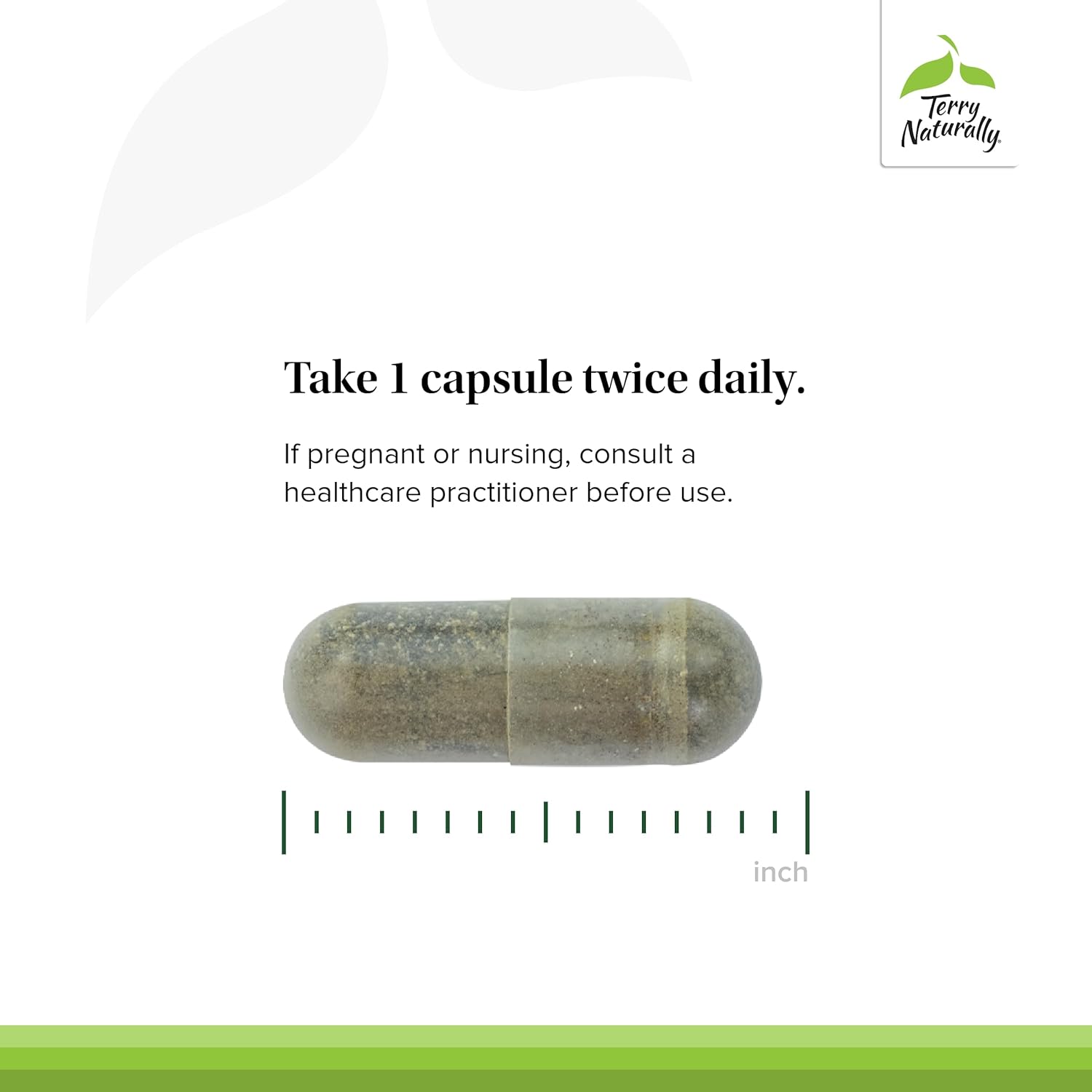 60 Capsules Terry Naturally Andrographis EP80 with Umckaloabo - Sinus & Upper Respiratory Support - Non-GMO, Vegan, Gluten Free - 60 Servings