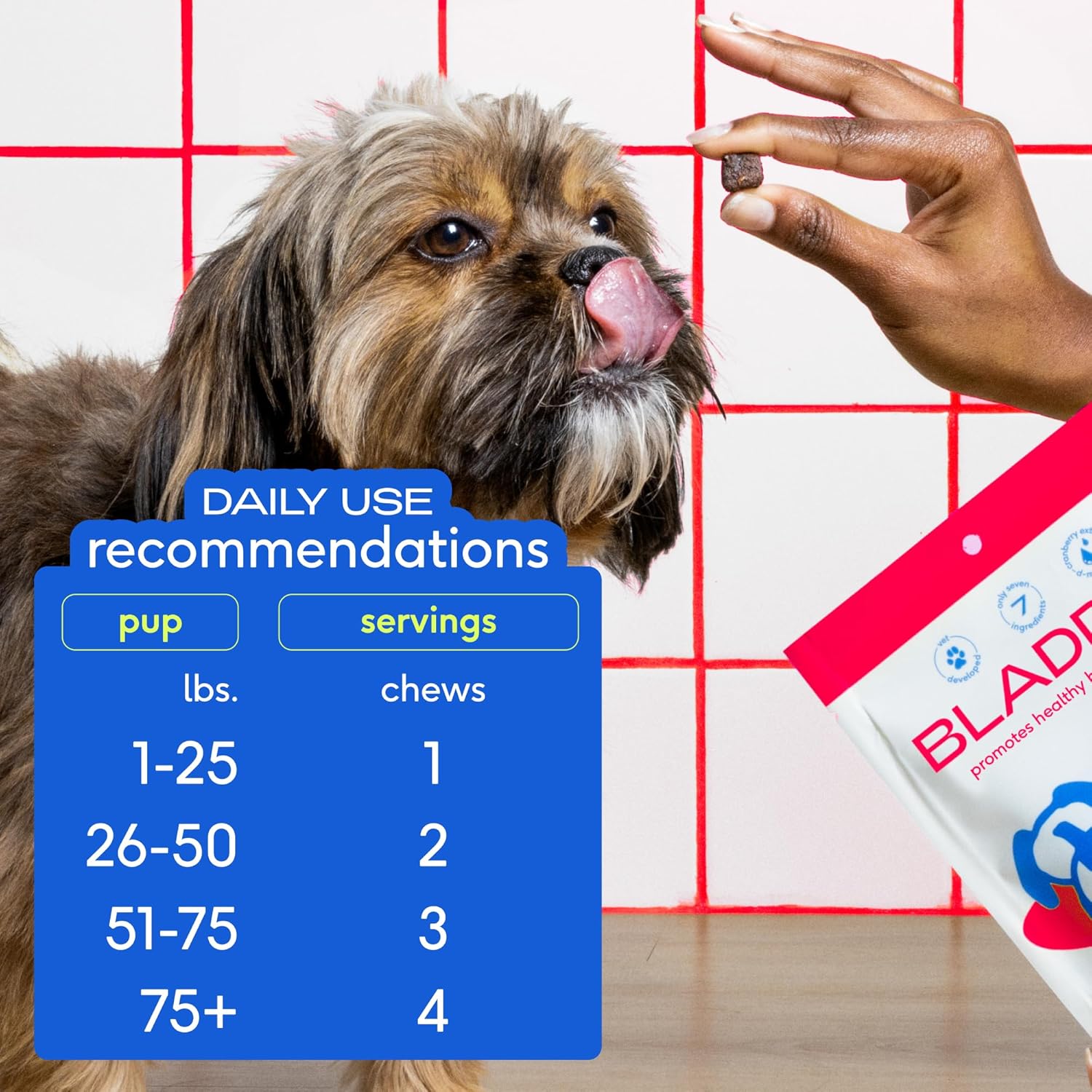 60 Chicken Cranberry Chews for Dog & Cat UTI - Natural UTI Treatment - Bladder Control & Pet Health Support - Urinary Tract Infection Relief