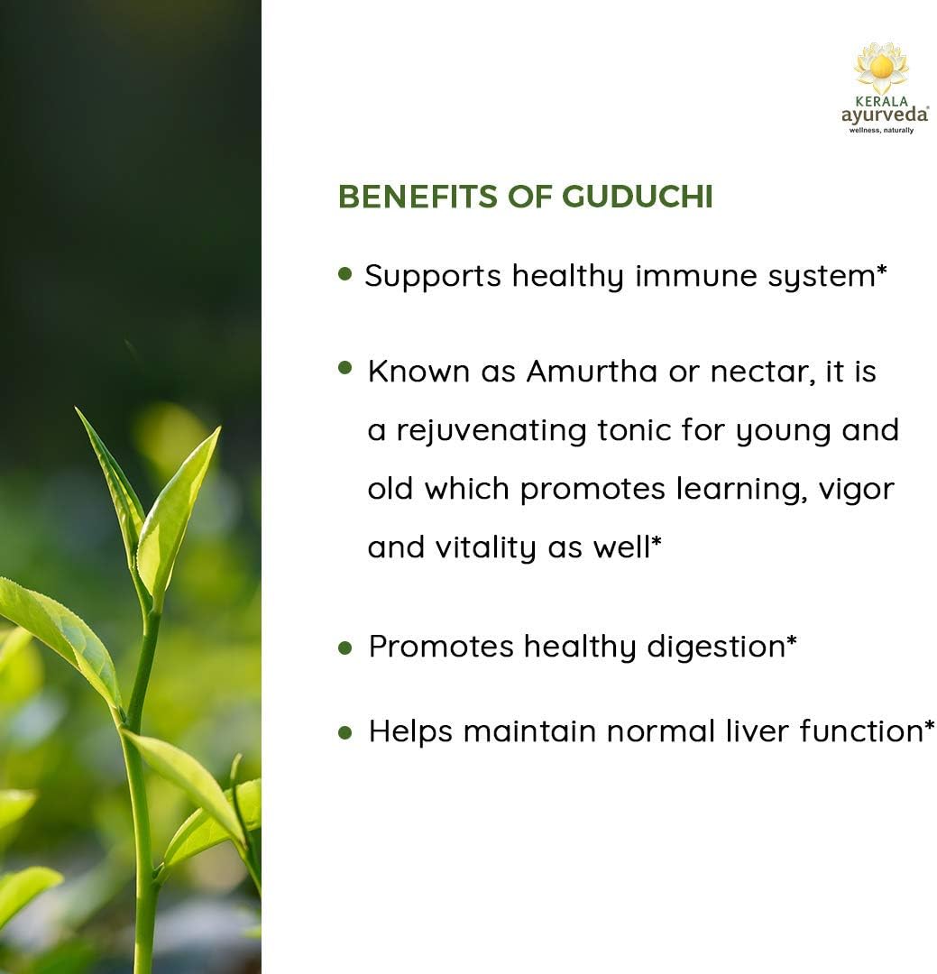 60 Count Kerala Ayurveda Guduchi Herbal Capsules for Immune System Support and Overall Health & Wellbeing