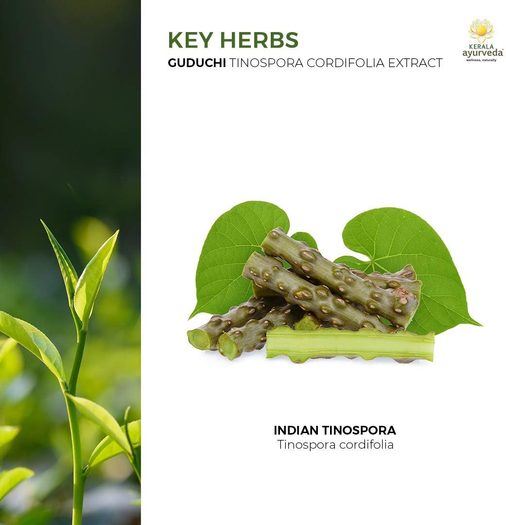 60 Count Kerala Ayurveda Guduchi Herbal Capsules for Immune System Support and Overall Health & Wellbeing
