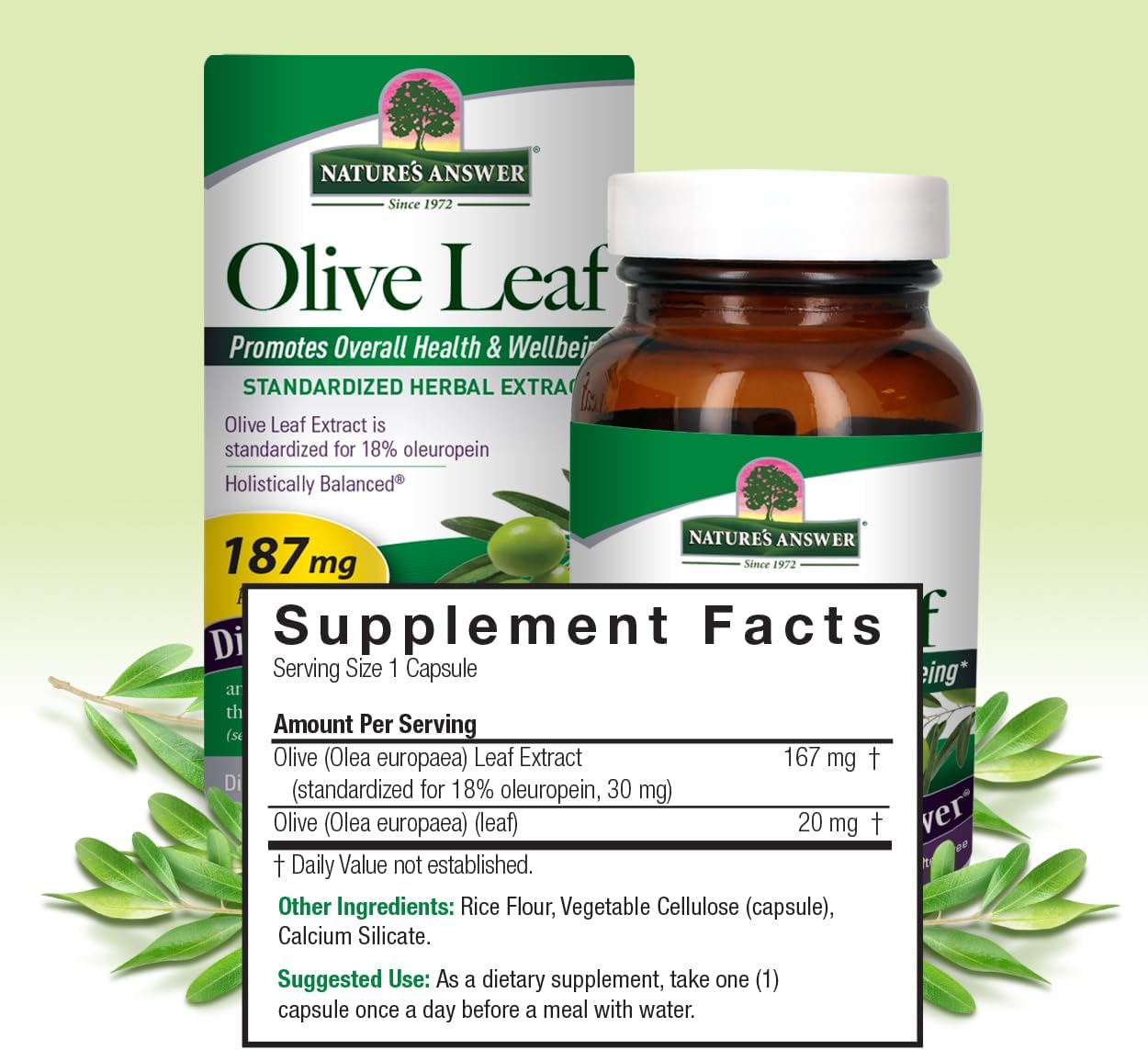 60-Count Nature's Answer Oleopein Olive Leaf Capsules for Good Health & Well Being, Alcohol-Free, Gluten-Free & Kosher
