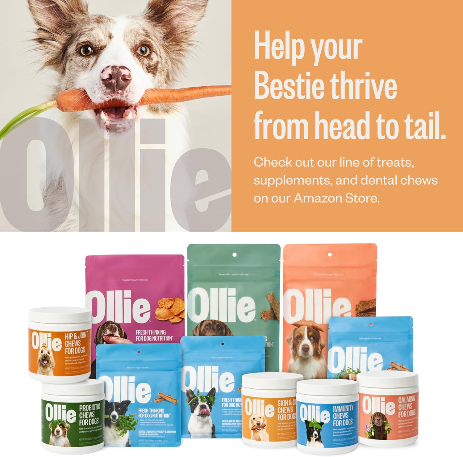 60-Count Ollie Dog Skin and Coat Supplement for Healthy and Shiny Fur - Soothes Irritated Skin