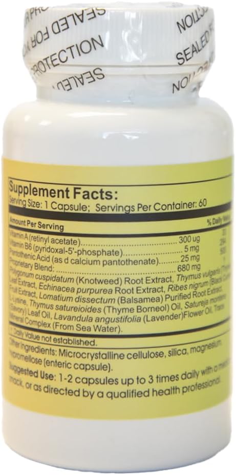60 Count Time Laboratories PhytoBiotic Capsules for Immune Support and Gut Health