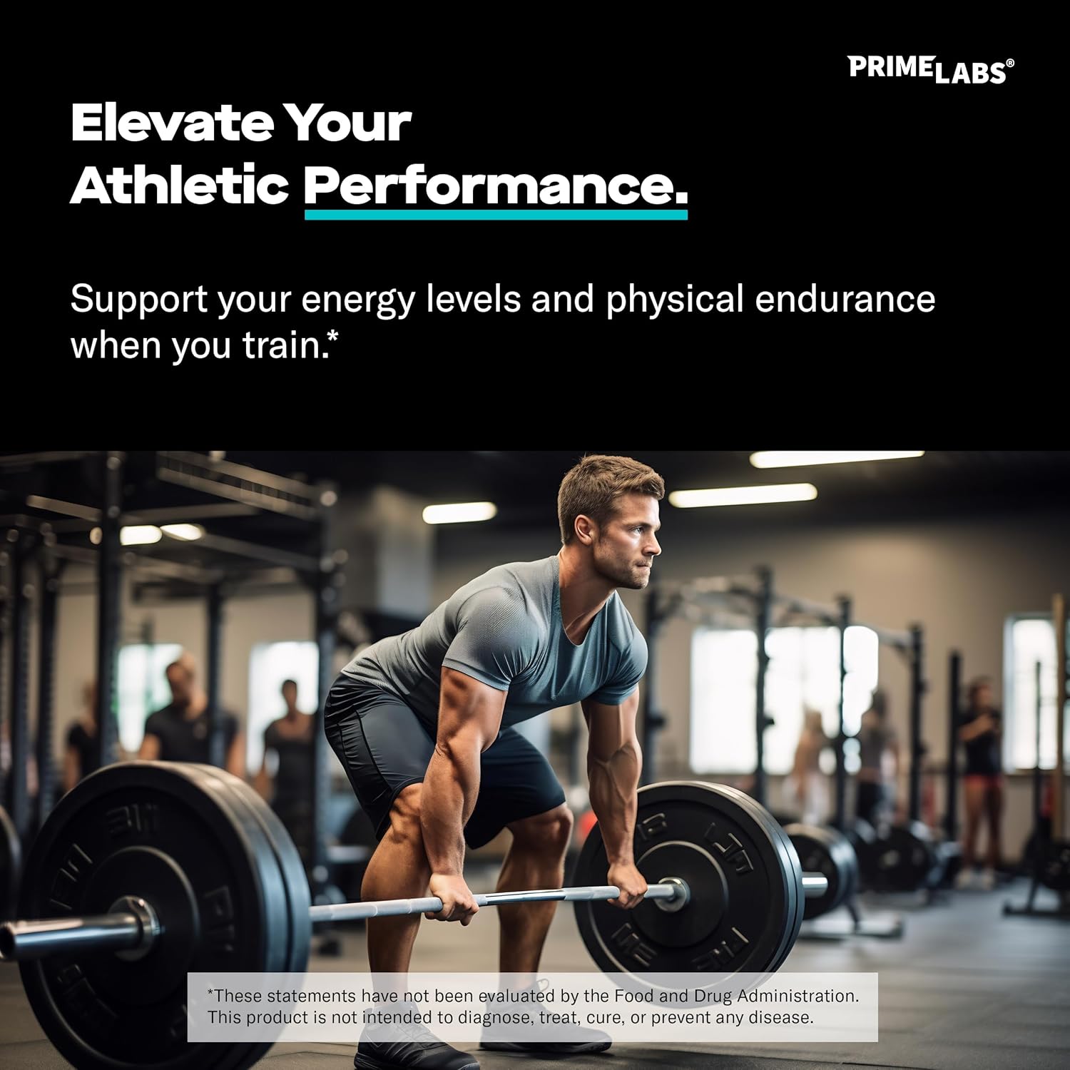 60 ct Prime Labs L Arginine Combined with 180 ct L Glutamine Supplement Pack