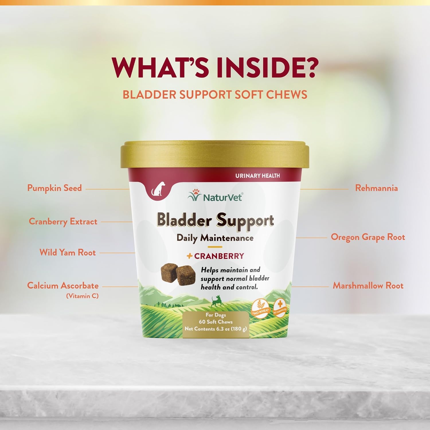 60 ct Soft Chews NaturVet Bladder Support Plus Cranberry for Dogs, USA-Made with Global Ingredients