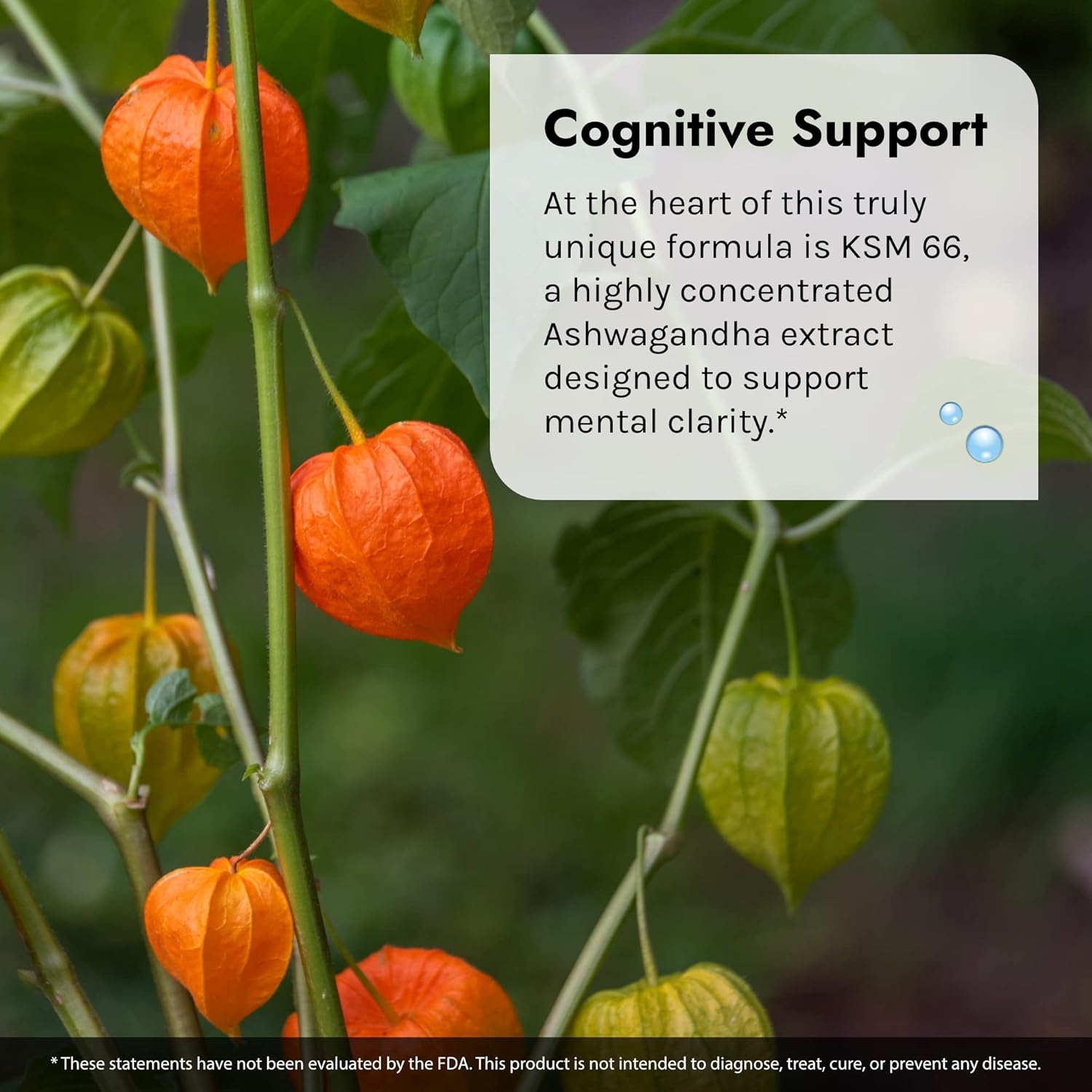60 Liquid Softgels Irwin Naturals Ashwagandha with Adaptogenic Herbs for Stress & Performance