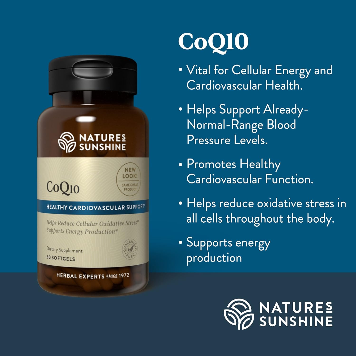 60 Nature's Sunshine CoQ10 Softgel Capsules for Heart Health and Energy Boost