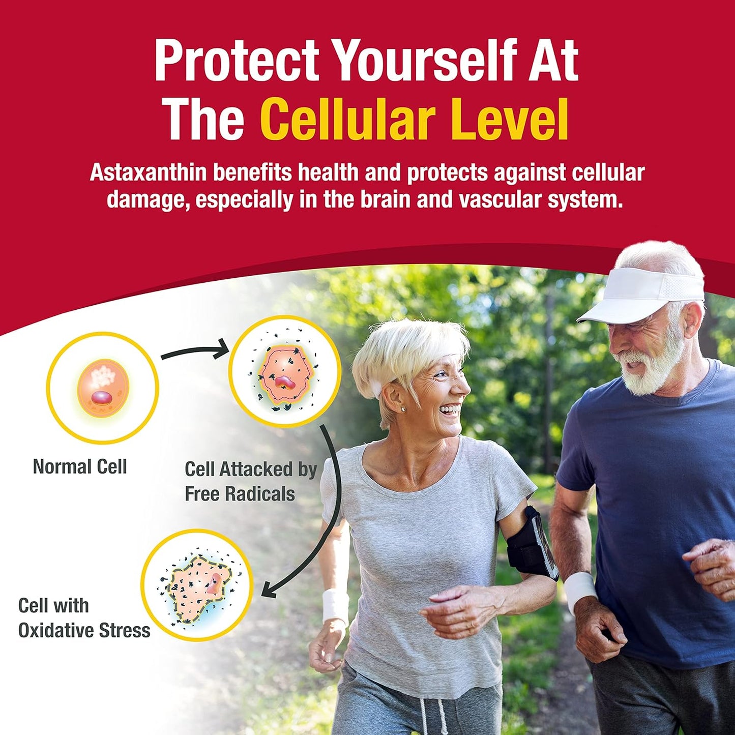 60 Softgels of AstaFactor Silver Astaxanthin Supplement for a Healthy Lifestyle