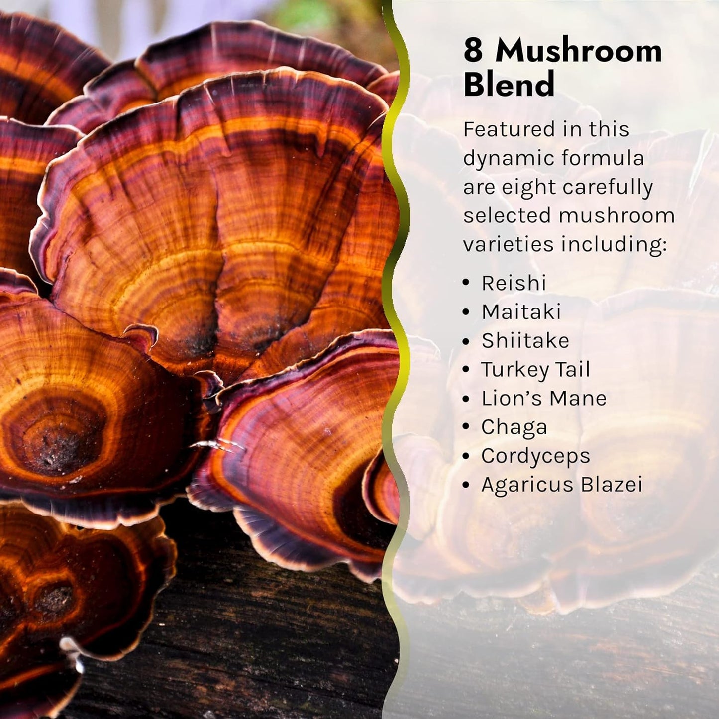 60 Softgels of Irwin Naturals Pure Defense Mushroom-8 for Immune Support