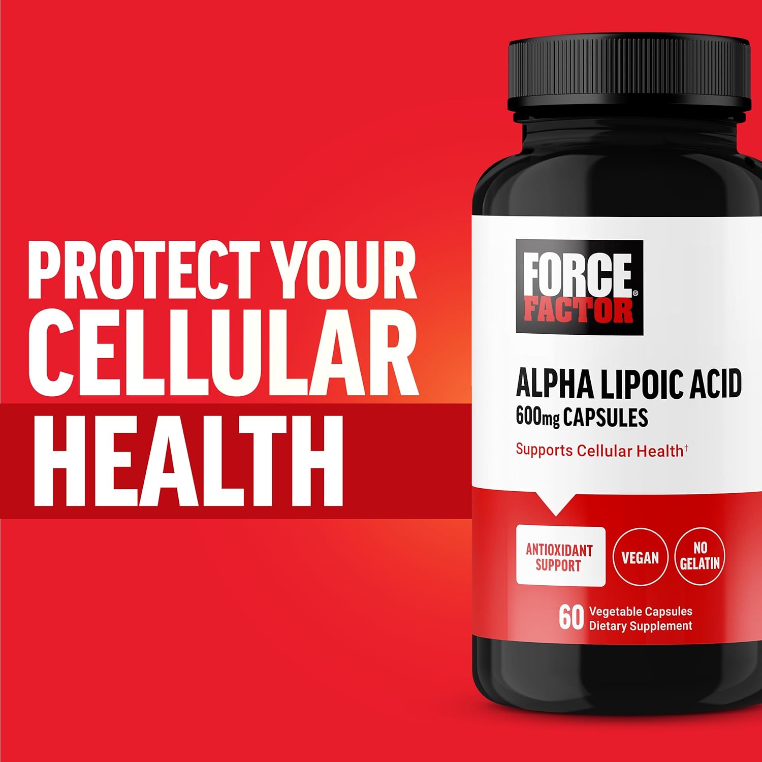 600mg Alpha Lipoic Acid Capsules for Cardiovascular Support & Cellular Health – Vegan Antioxidant Supplement (60 Capsules)