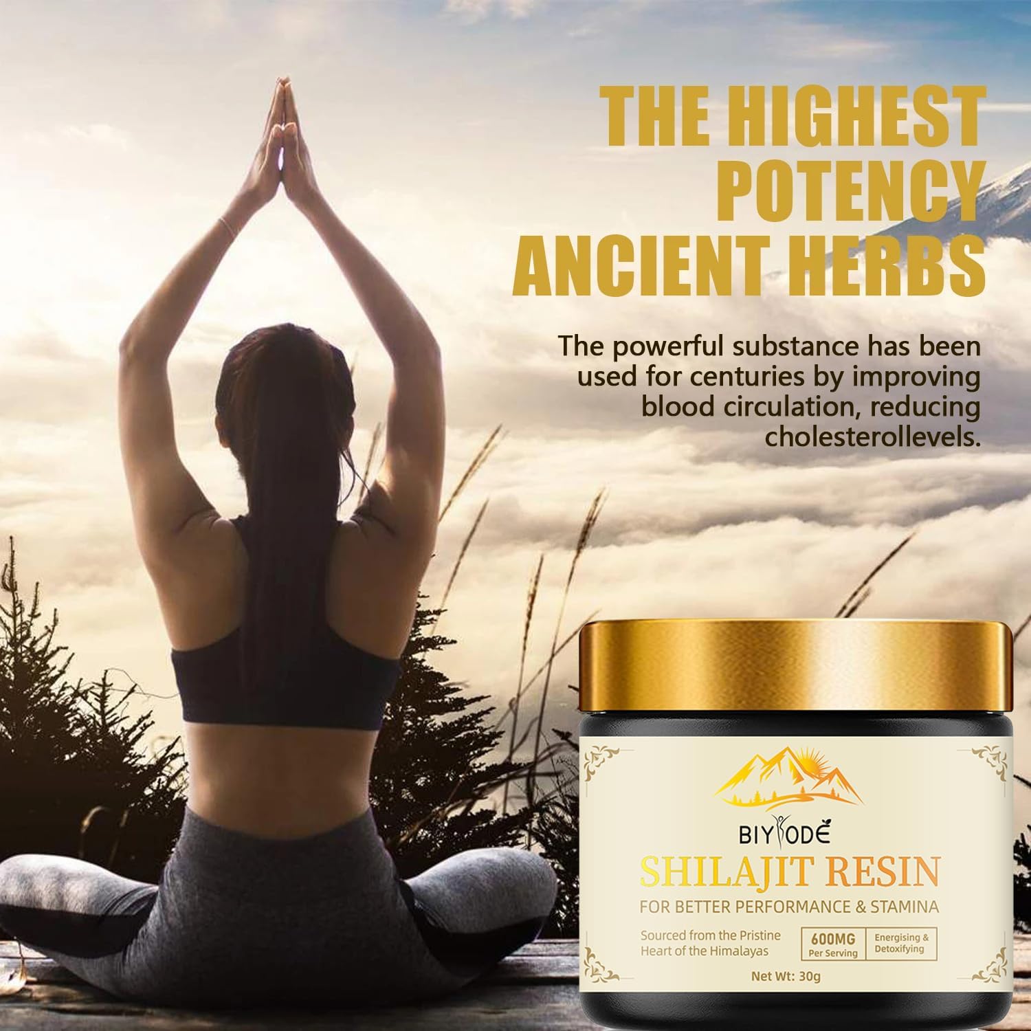 600mg Pure Himalayan Shilajit Resin - Gold Grade Organic Energy & Immune Support - 30g (2 Pcs)
