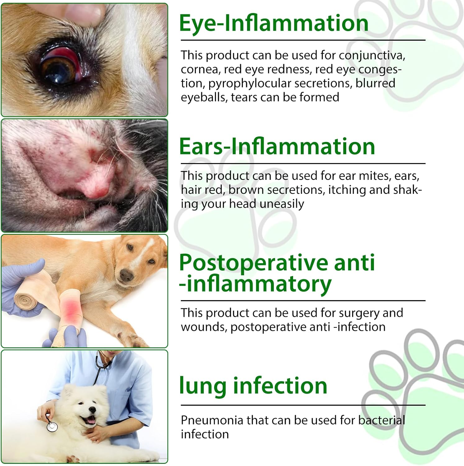 60ml Natural Dog Antibiotics Multivitamin and Supplements - Pack of 2