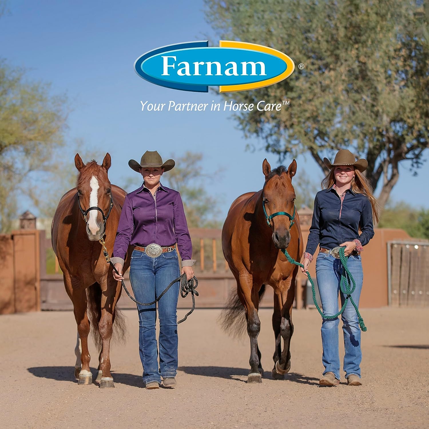 7.5 lb Farnam Apple Elite Electrolyte Pellets: 40 Day Supply