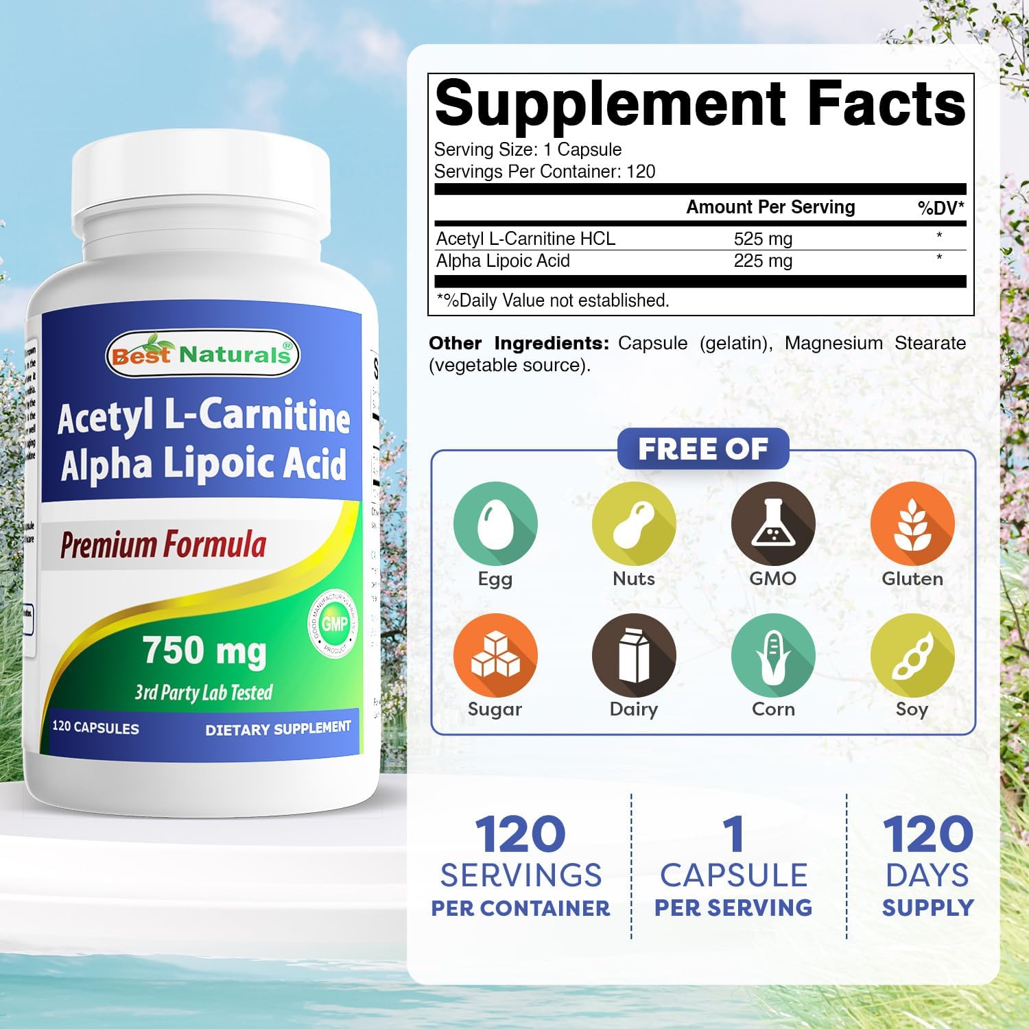 750mg Acetyl L-Carnitine & Alpha Lipoic Acid Capsules - 120 Count by Best Naturals